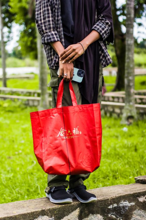 Free A young adult holding a red shopping bag and a phone, standing outdoors in a park. Stock Photo