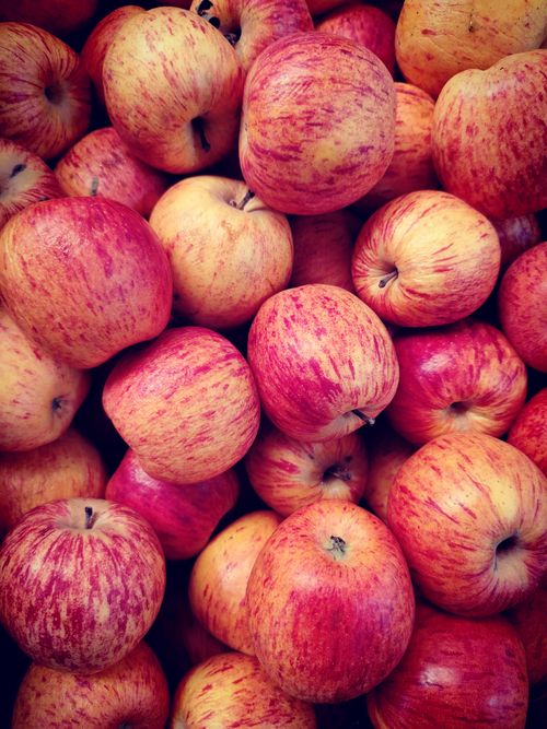 Free Abundant harvest of ripe apples showcasing vibrant red and yellow hues. Stock Photo
