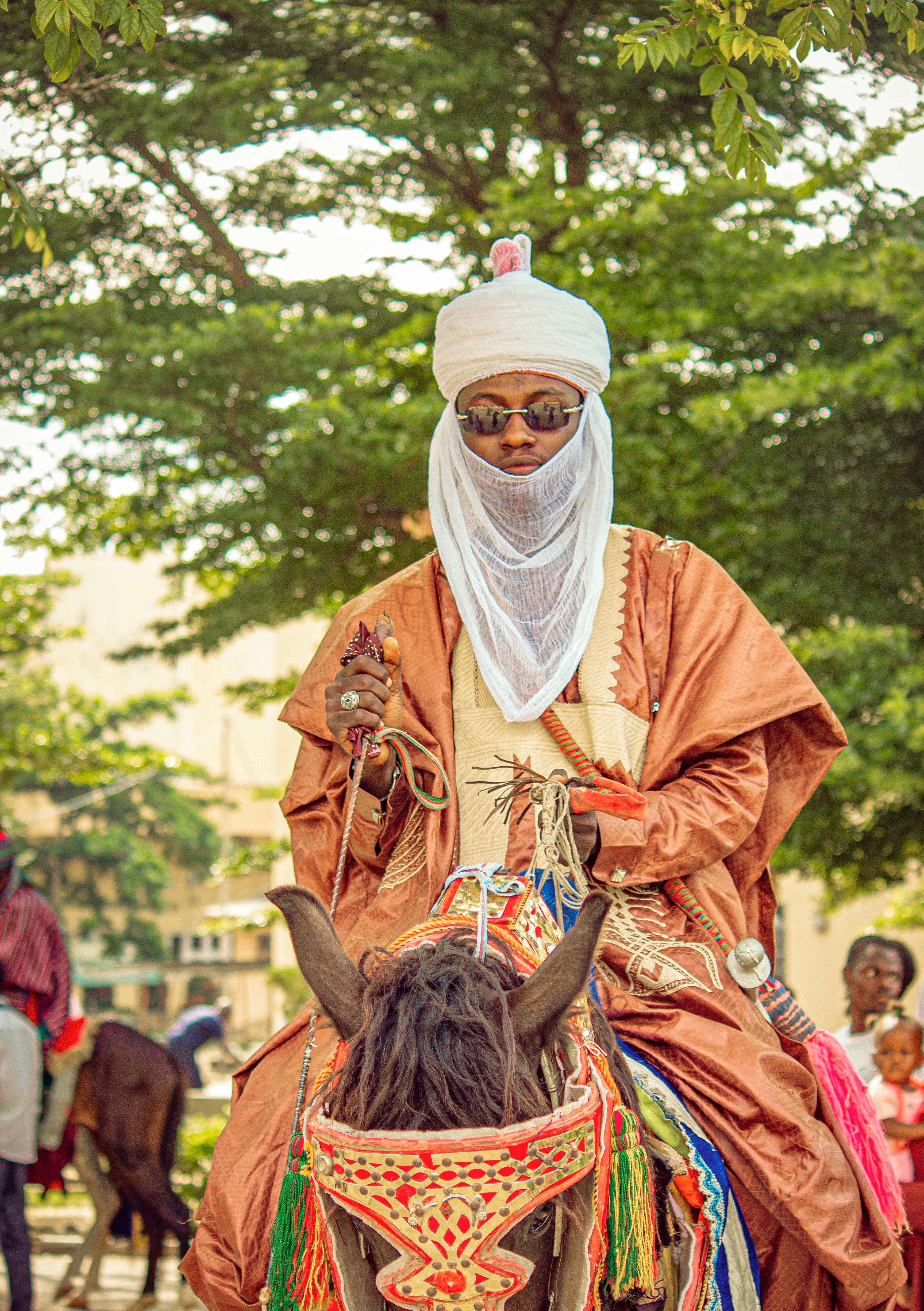 Vibrant Cultural Horse Rider in Traditional Attire · Free Stock Photo