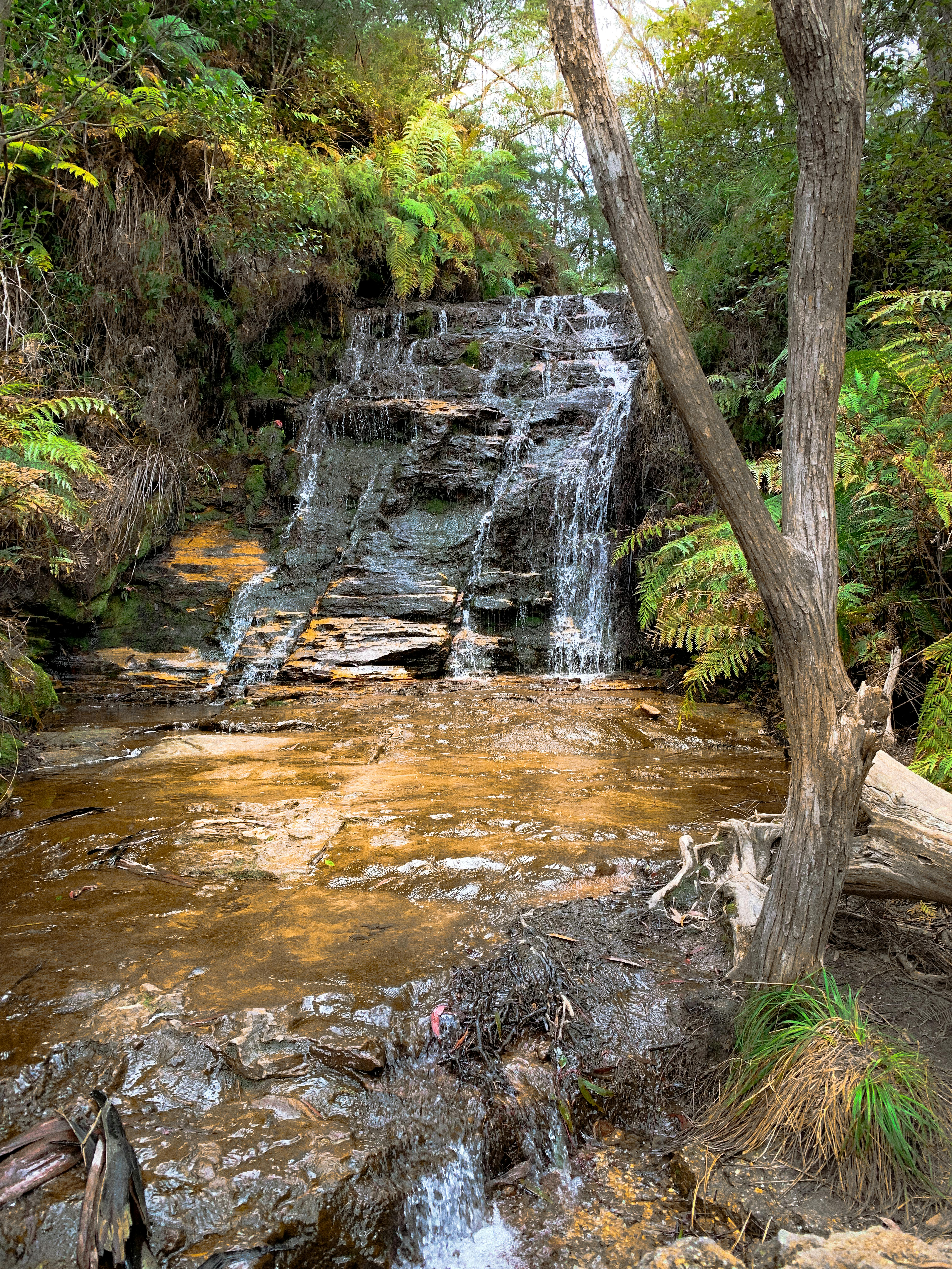 Air Terjun yang Menyegarkan di Tengah Hutan