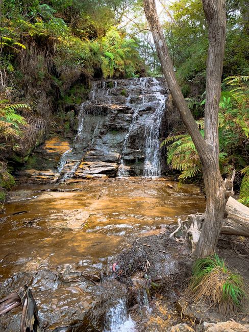 Air Terjun yang Menyegarkan di Tengah Hutan Air Terjun yang Menyegarkan di Tengah Hutan