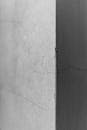 Monochrome Textured Wall with Cracks