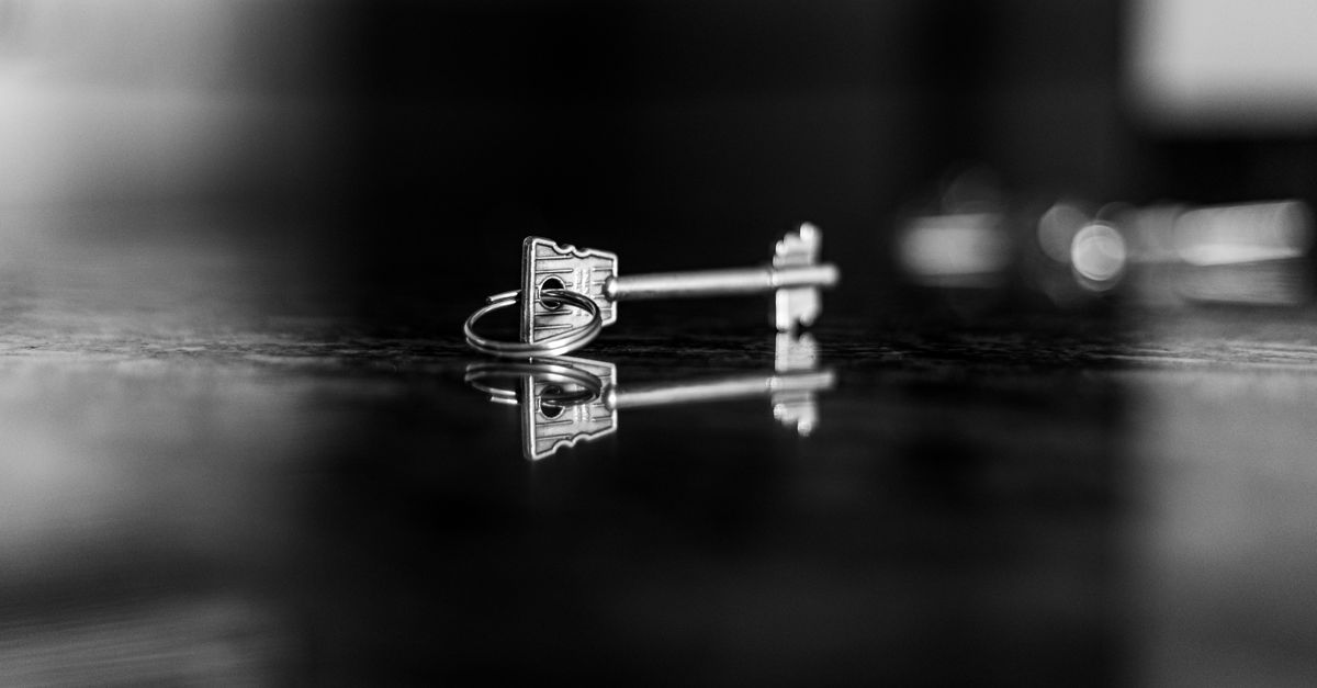 Key Reflections Elegant Black and White Key Reflection Art · Free Stock Photo