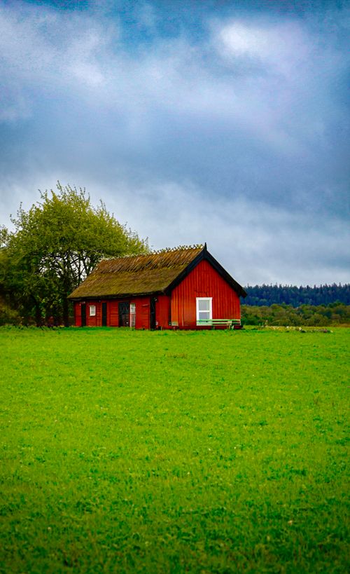 Free Charming red cabin amidst vibrant greenery under a cloudy sky, offering a serene rural scene. Stock Photo