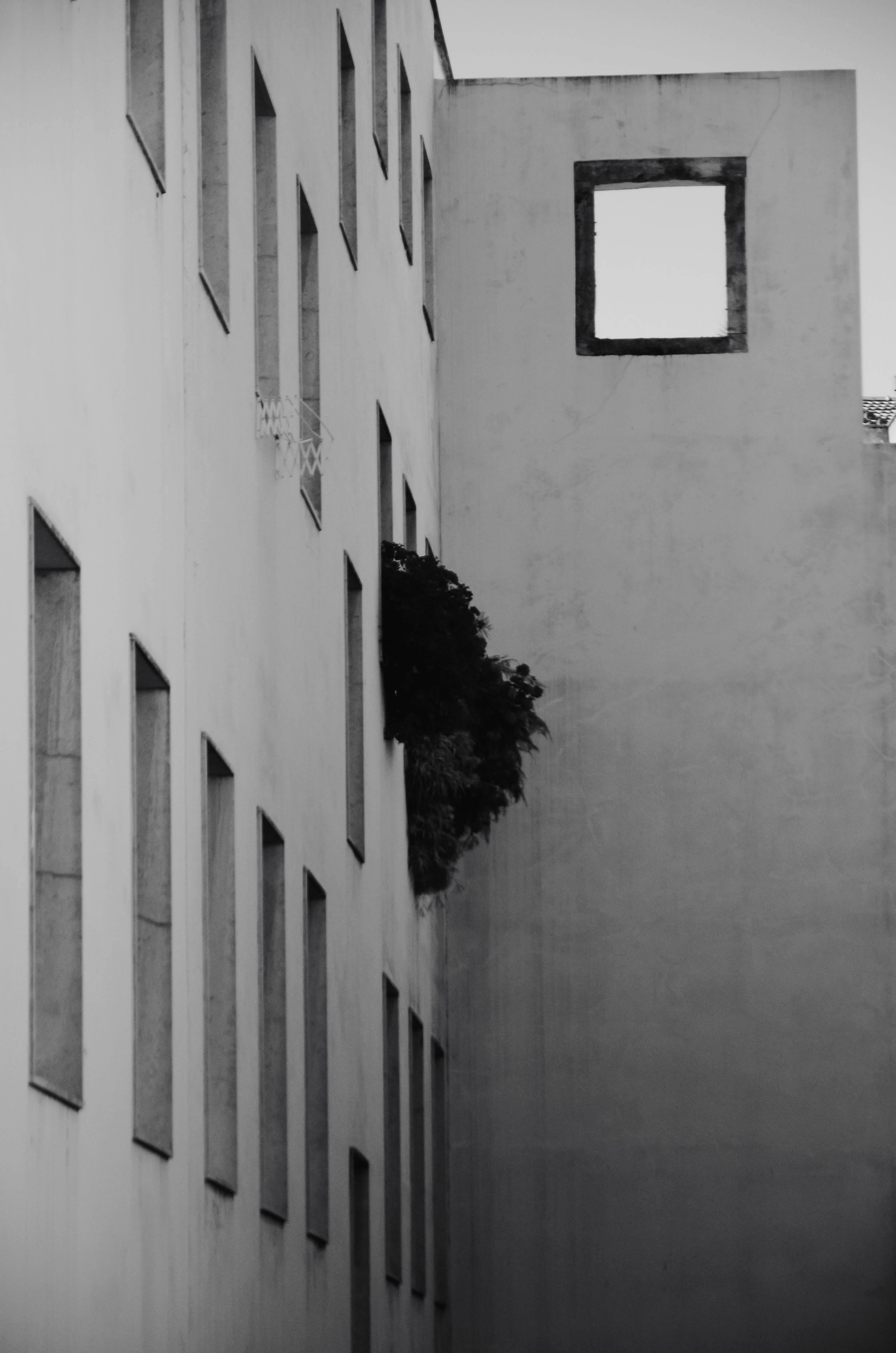 Kostenlos Monochromfoto, das die geometrischen Linien und Formen der Fassade eines modernen Gebäudes einfängt. Stock-Foto