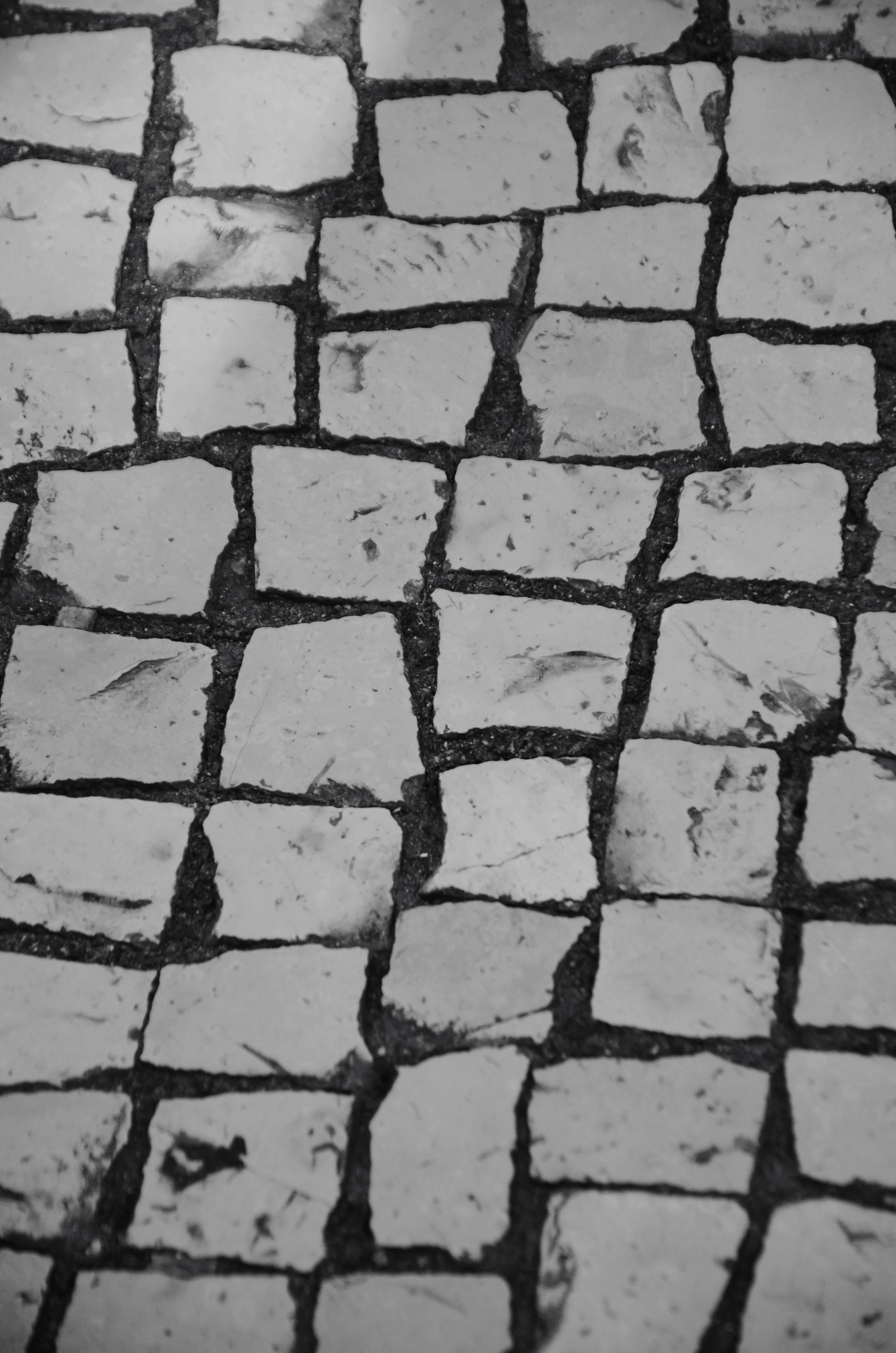 Gratis Kunstnerisk svart-hvitt-bilde av brosteinsbelegg med ujevn steinplassering. Arkivbilde