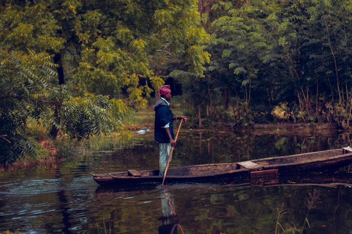 A man paddles a wooden canoe through lush forest waters, exuding tranquility and solitude.