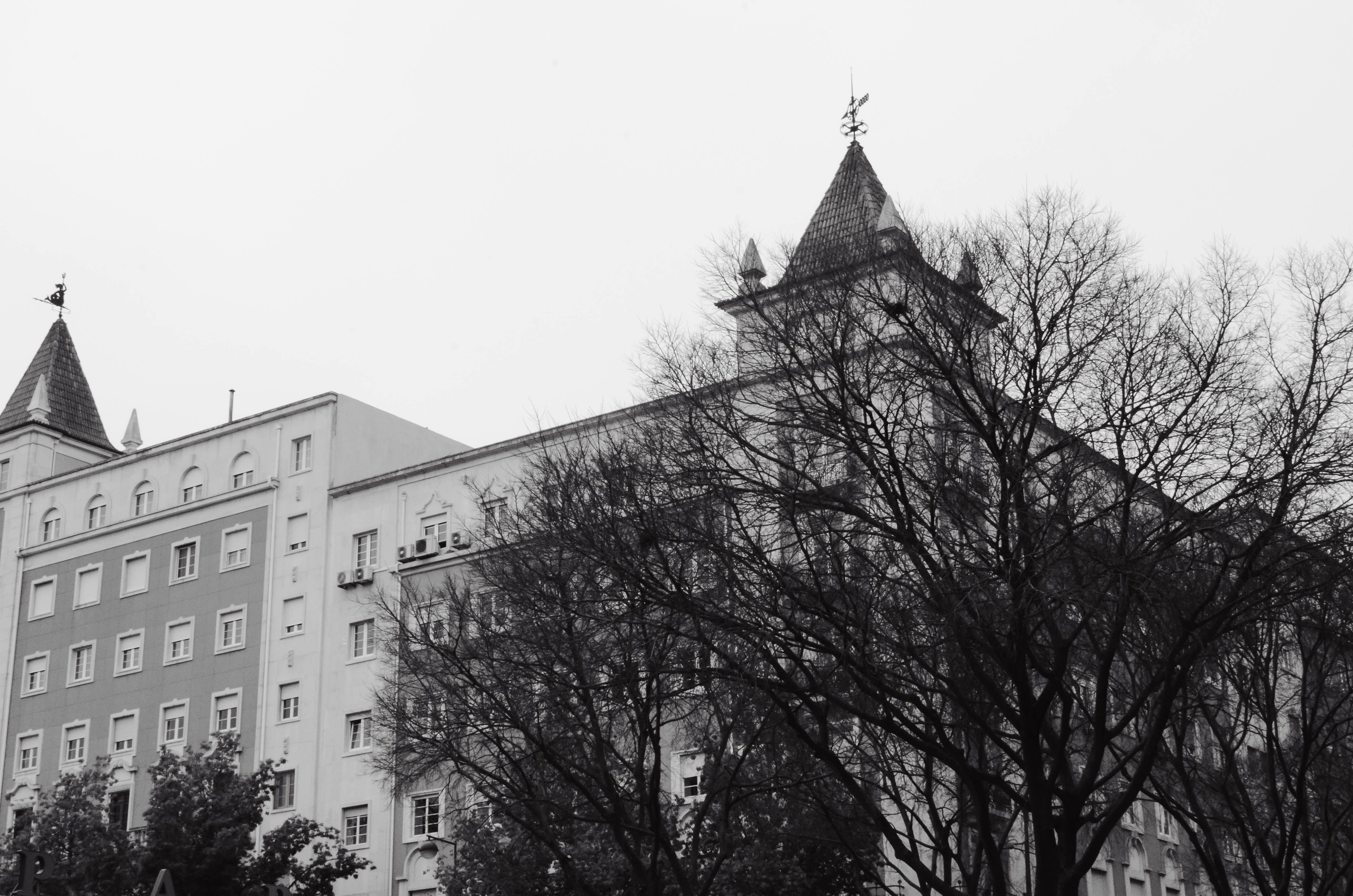 Black and White Gothic Architecture with Trees · Free Stock Photo