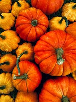 Colorful display of orange pumpkins and gourds capturing the essence of fall harvest.