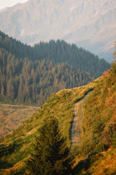 A serene view of a winding mountain path through lush greenery, ideal for nature and travel enthusiasts.