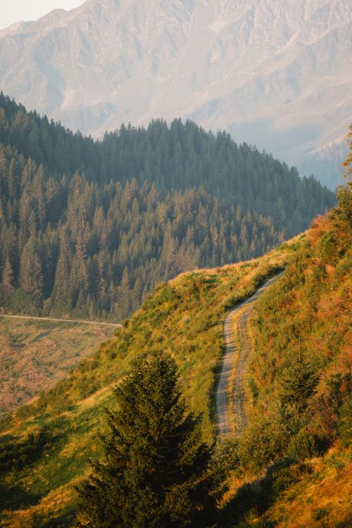 Free A serene view of a winding mountain path through lush greenery, ideal for nature and travel enthusiasts. Stock Photo