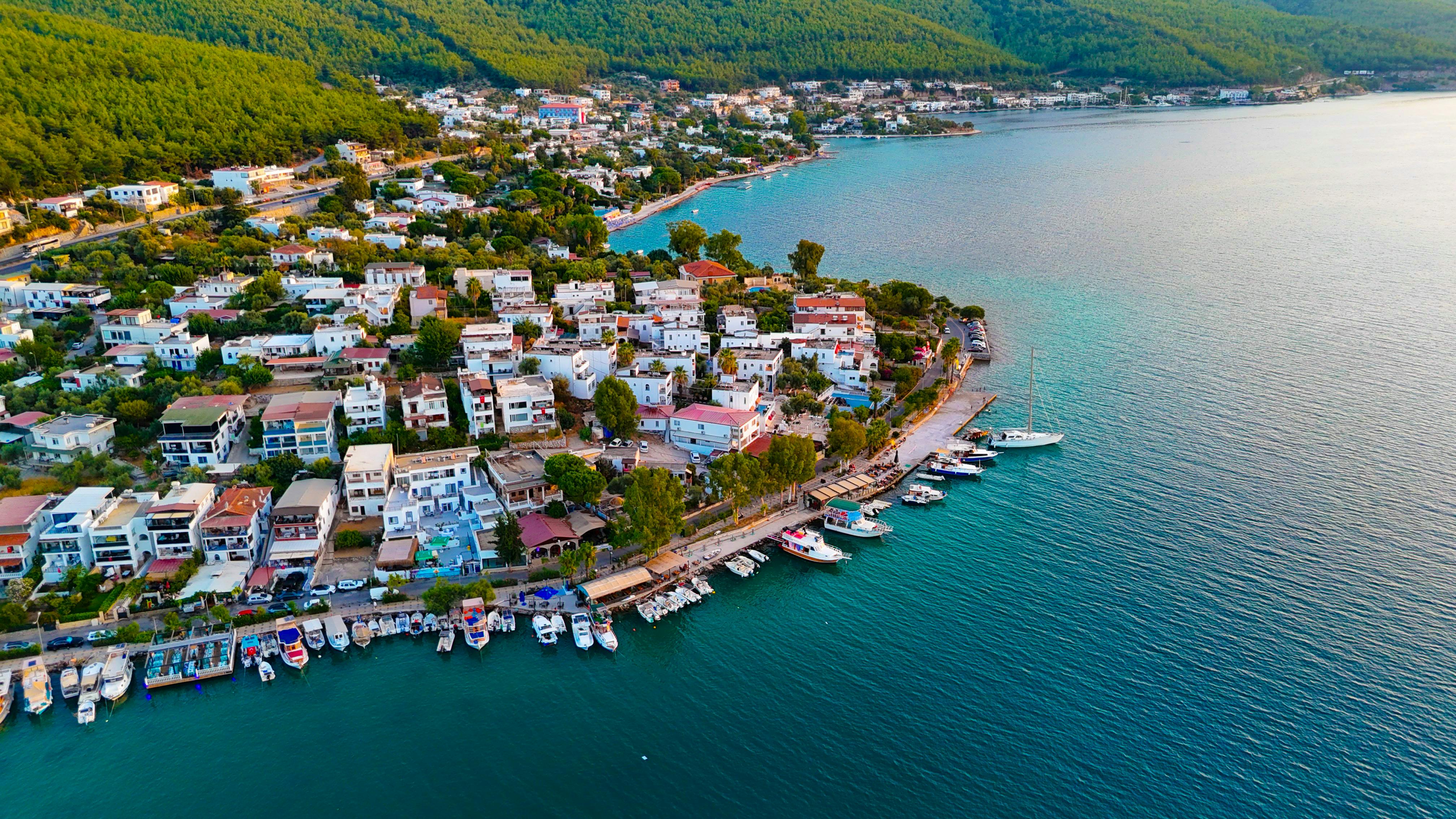 AI for Vacation Rentals 2026: Insights from Donoghue &amp; Schwab - RSU by PriceLabs — Photo by Muhammed Gündüz on Pexels