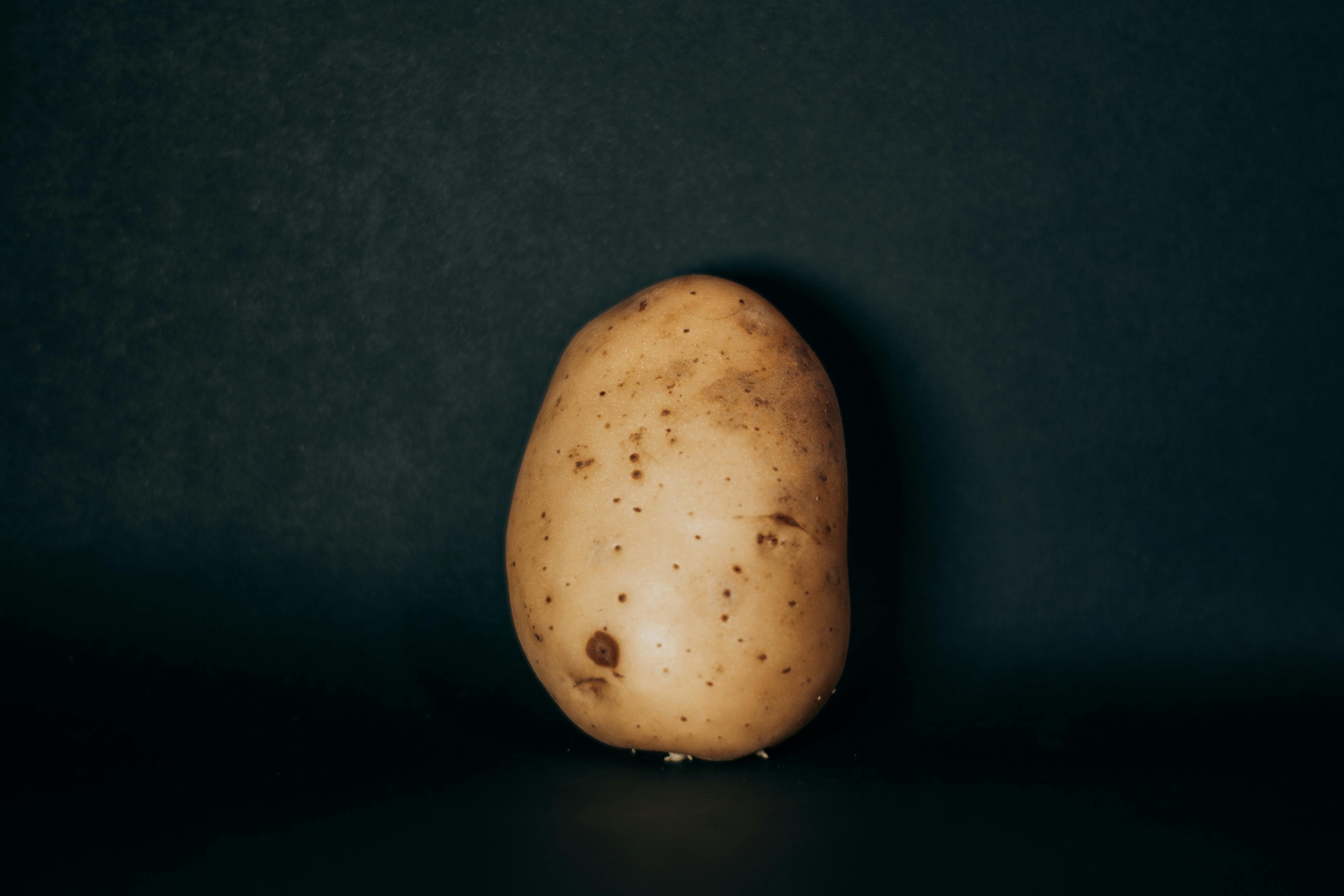 A single potato on a dark background showcasing minimalist design and simplicity.