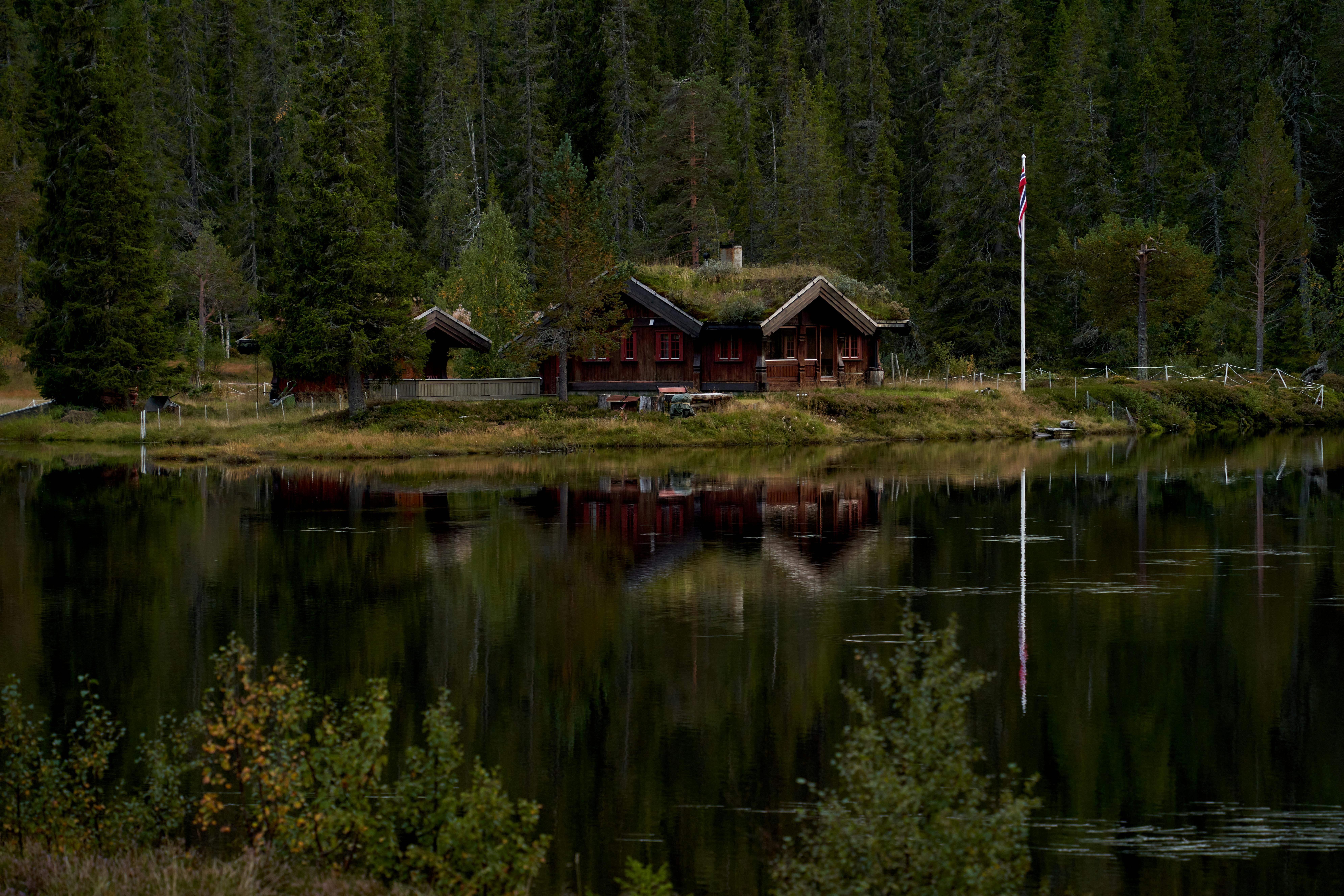 Smyrna’s Outdoor Adventure Center ignites learning and imagination — Photo by Barnabas Davoti on Pexels