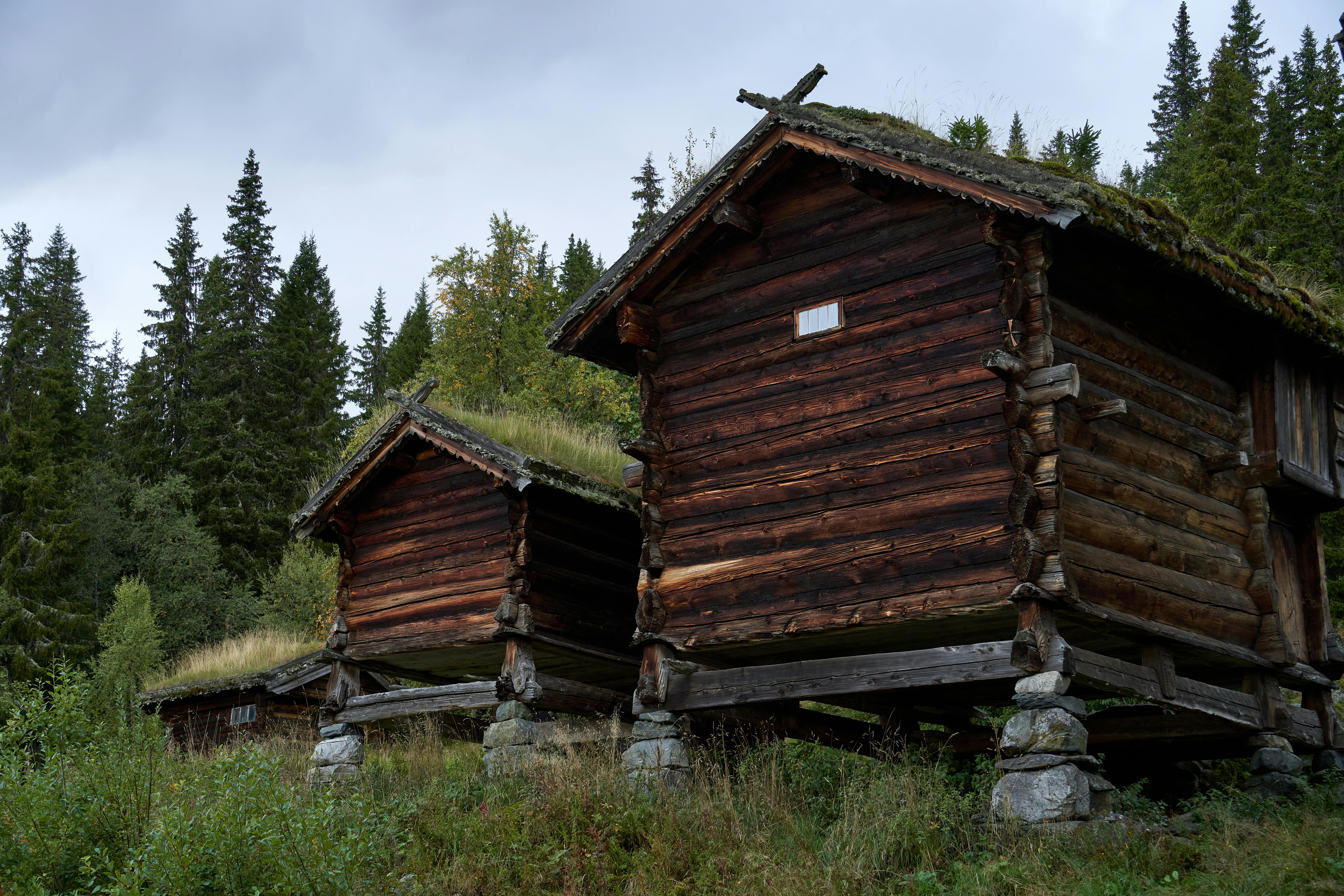 Norwegian Life-Cleaning” Is the Calmest Way to Declutter Your Home — Photo by Barnabas Davoti on Pexels