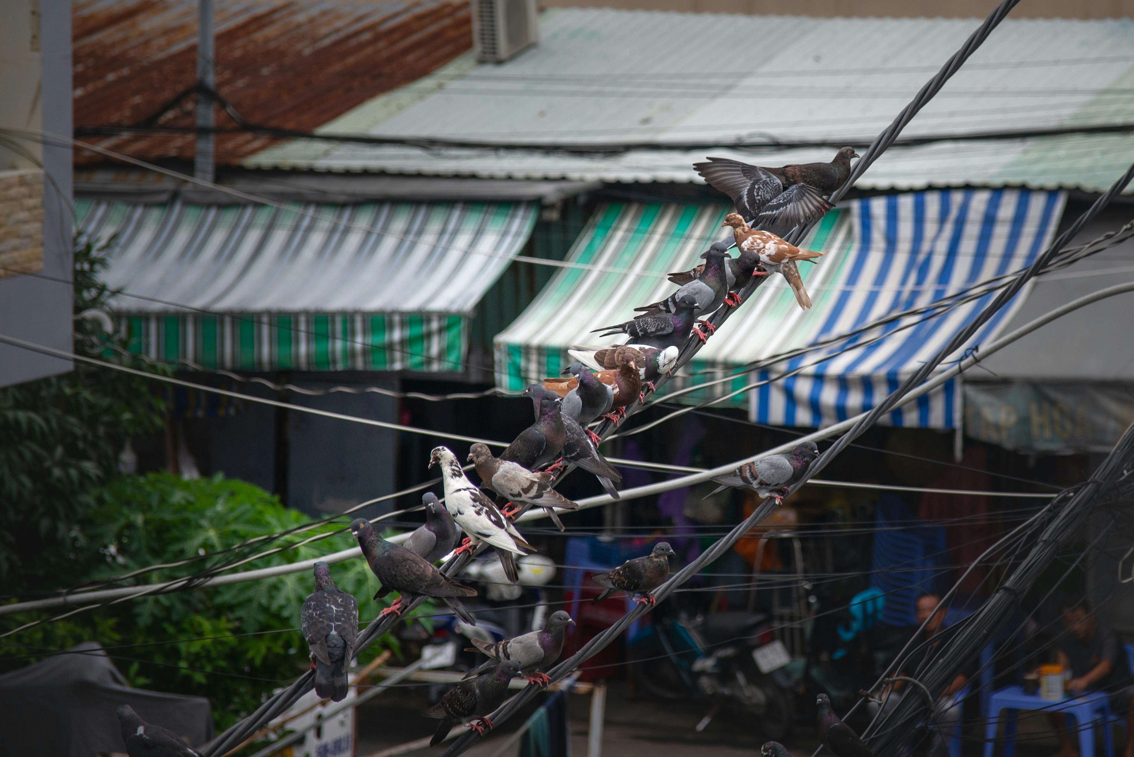 財經：尹崇堯：Gogoro第4季將進軍越南市場，推動一變十策略