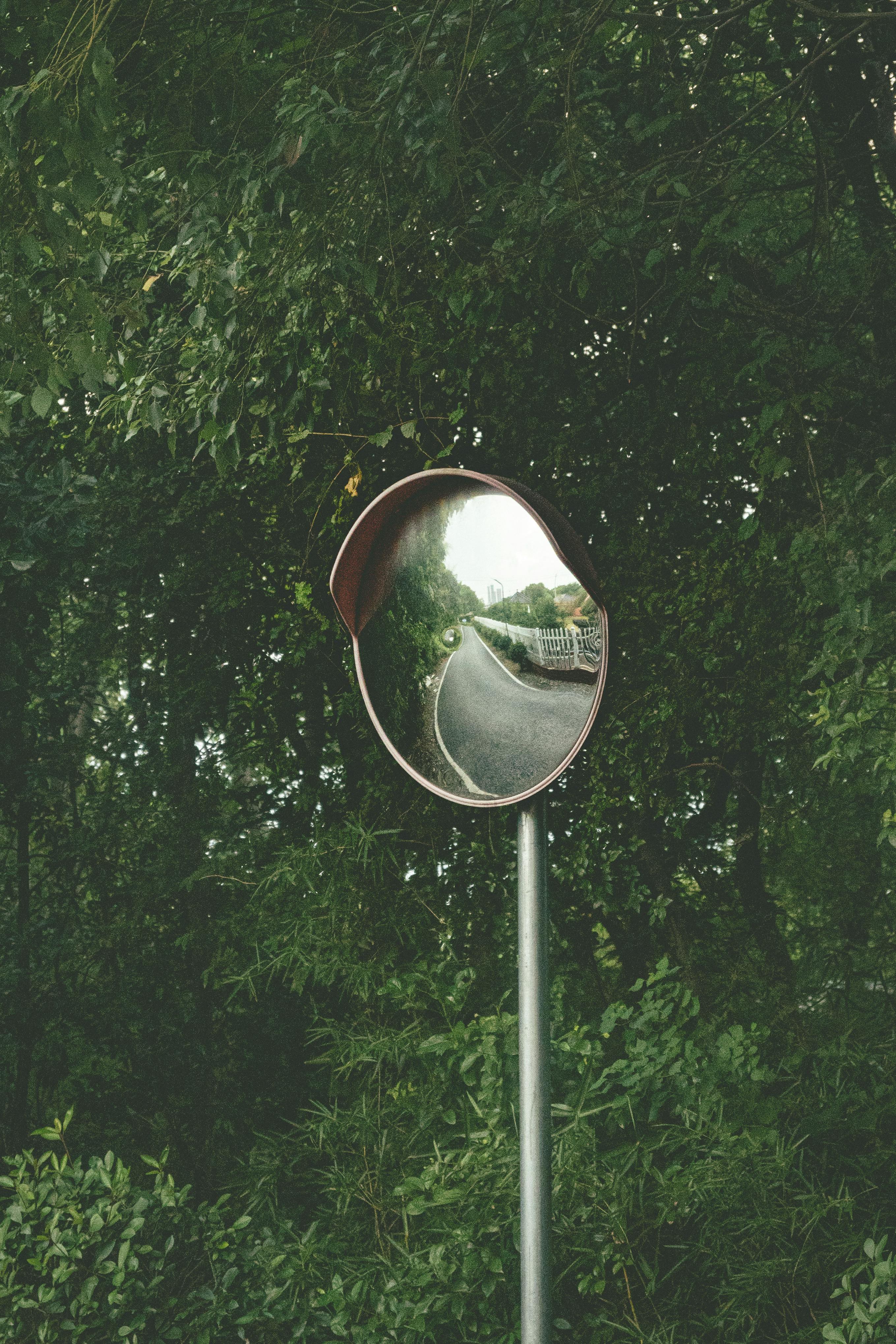Circular mirror reflecting a road and trees, surrounded by dense greenery.