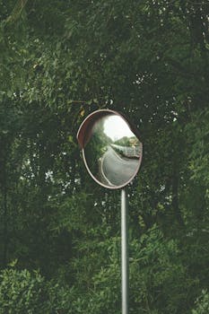Circular mirror reflecting a road and trees, surrounded by dense greenery.
