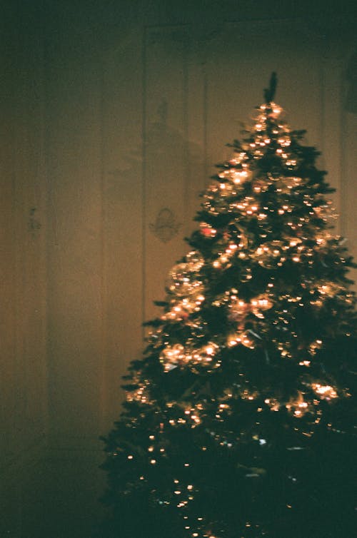 Освещенная рождественская елка