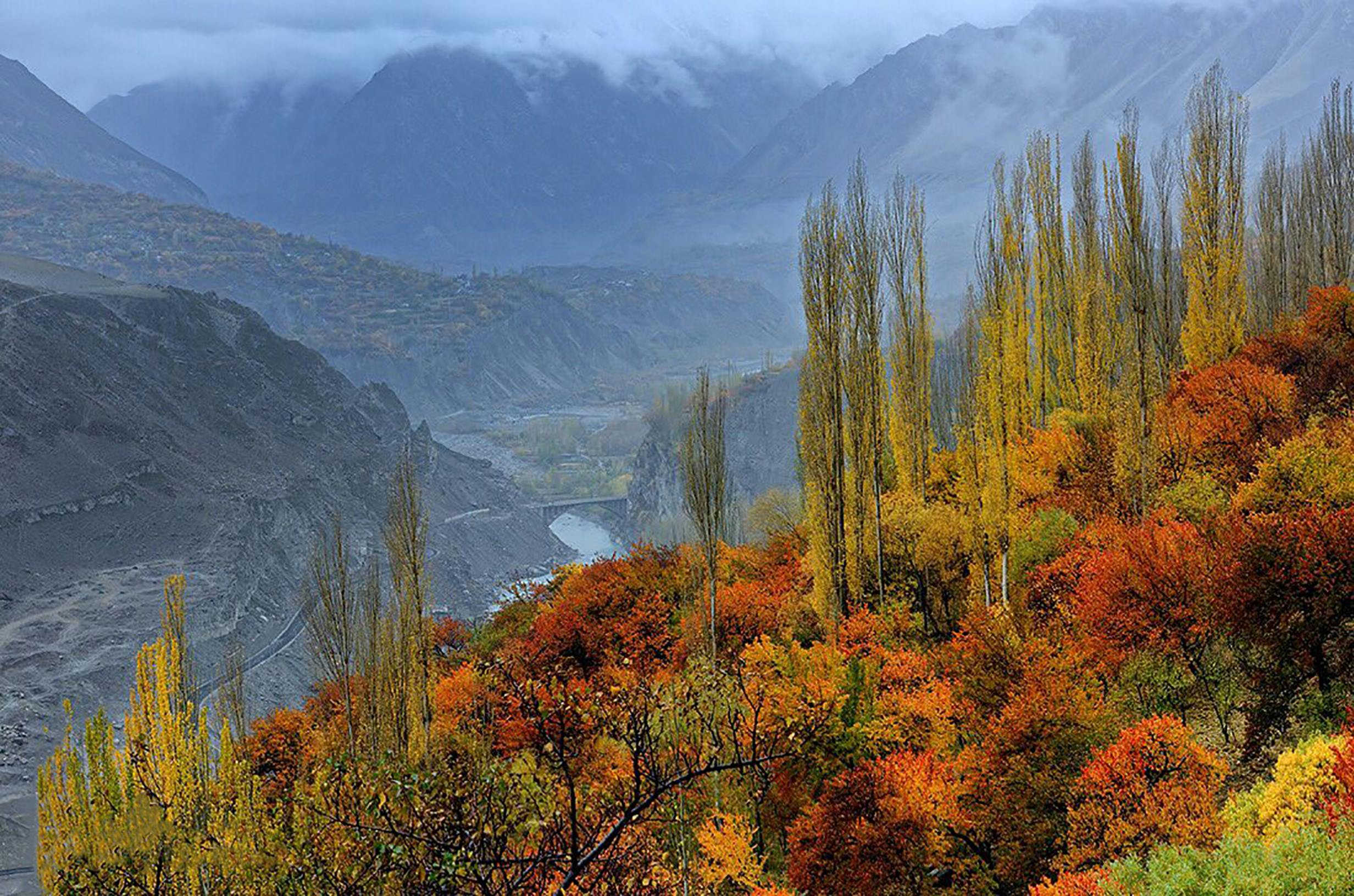 複数のストリーミングアプリのアイコンが並んだスマートフォン