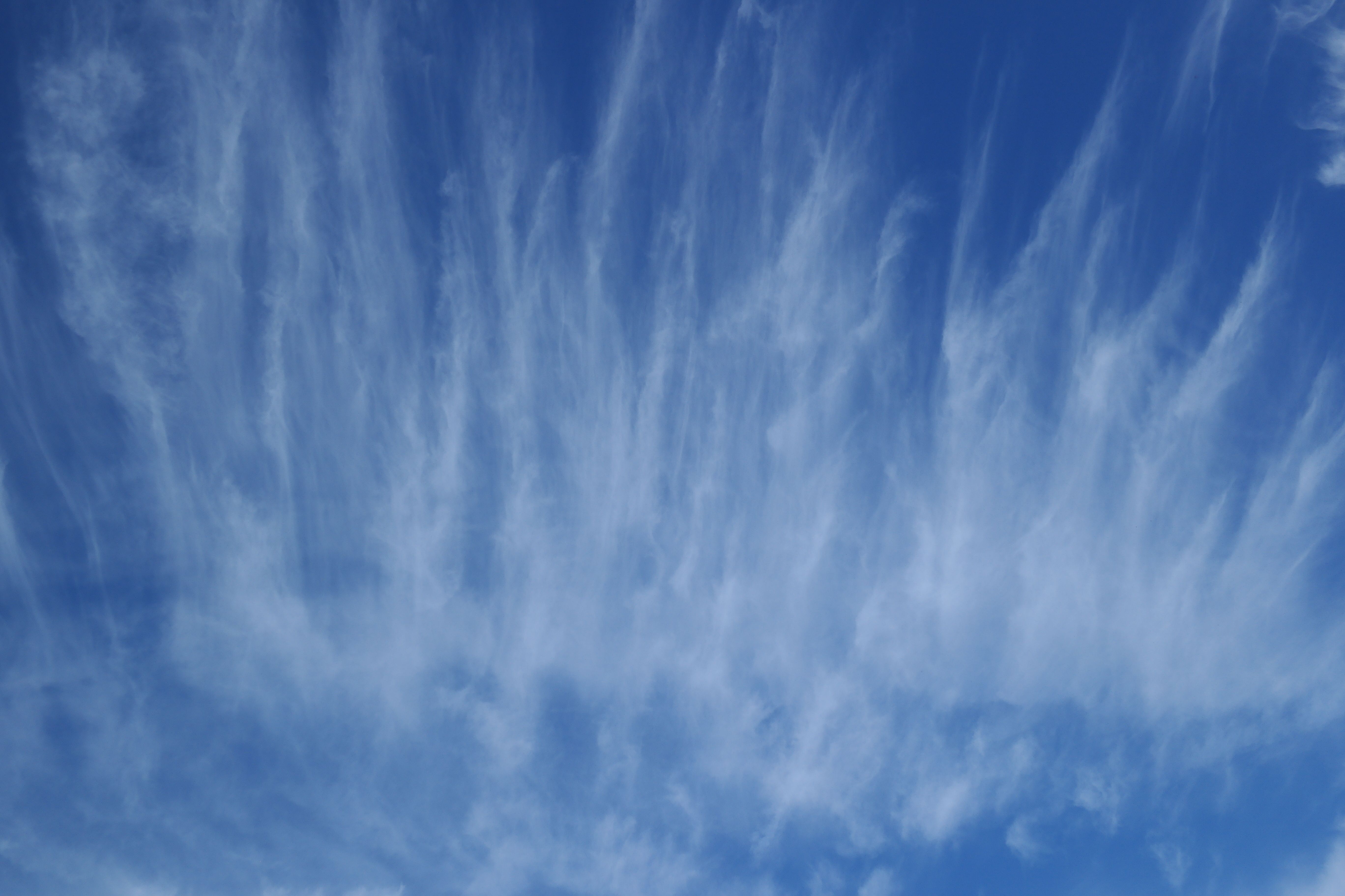 Cirrus Cloud Thinning via Particulate Seeding