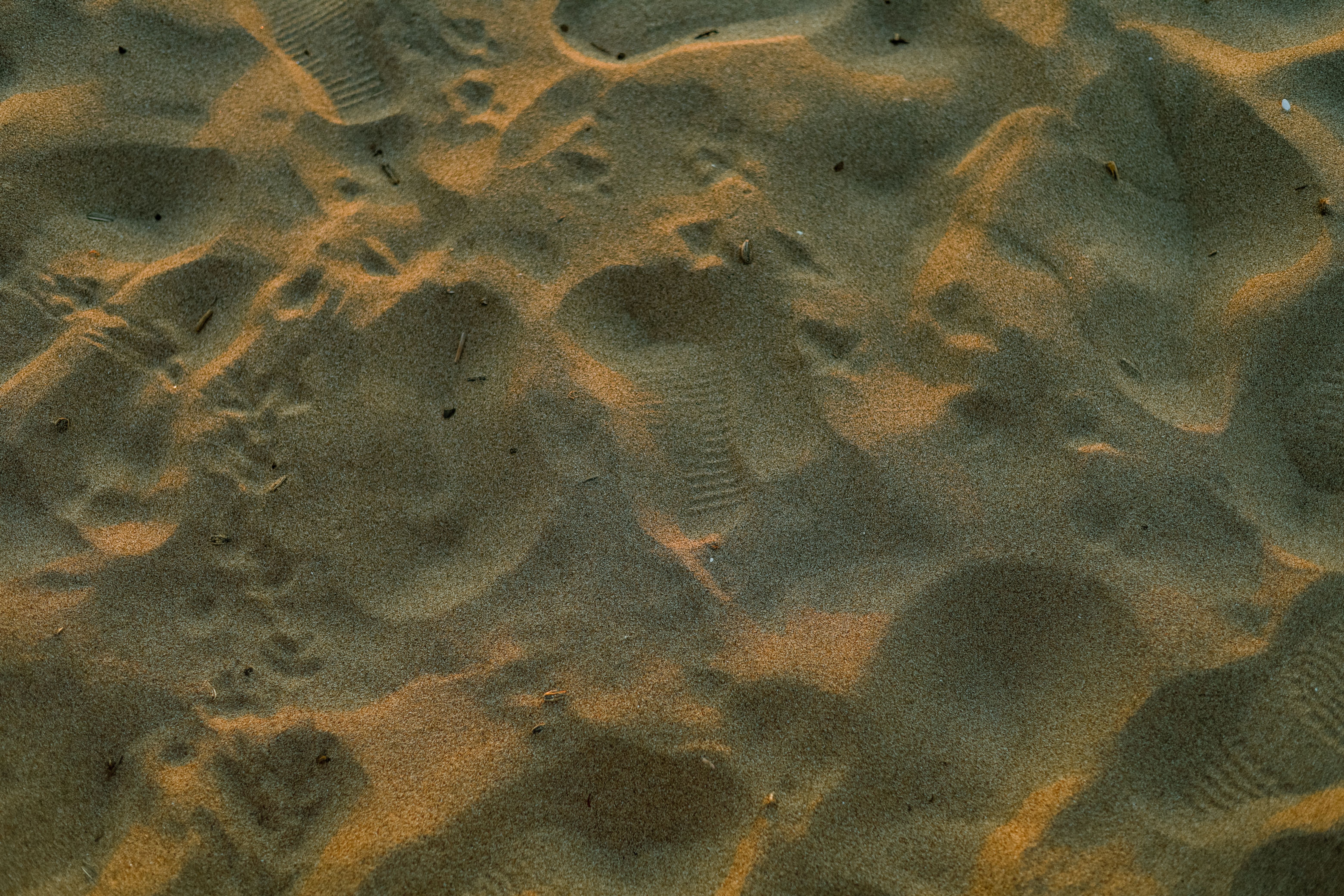environmental footprint
