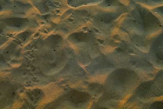 Footprints in textured golden beach sand with a warm sunset glow.