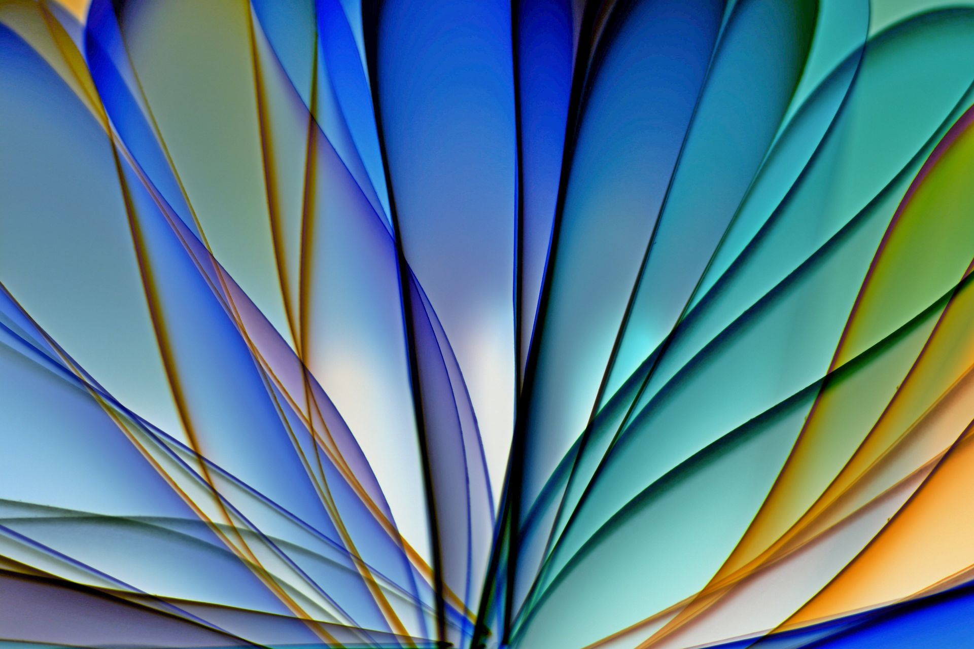 Vibrant abstract art featuring curved shapes and a spectrum of colors.