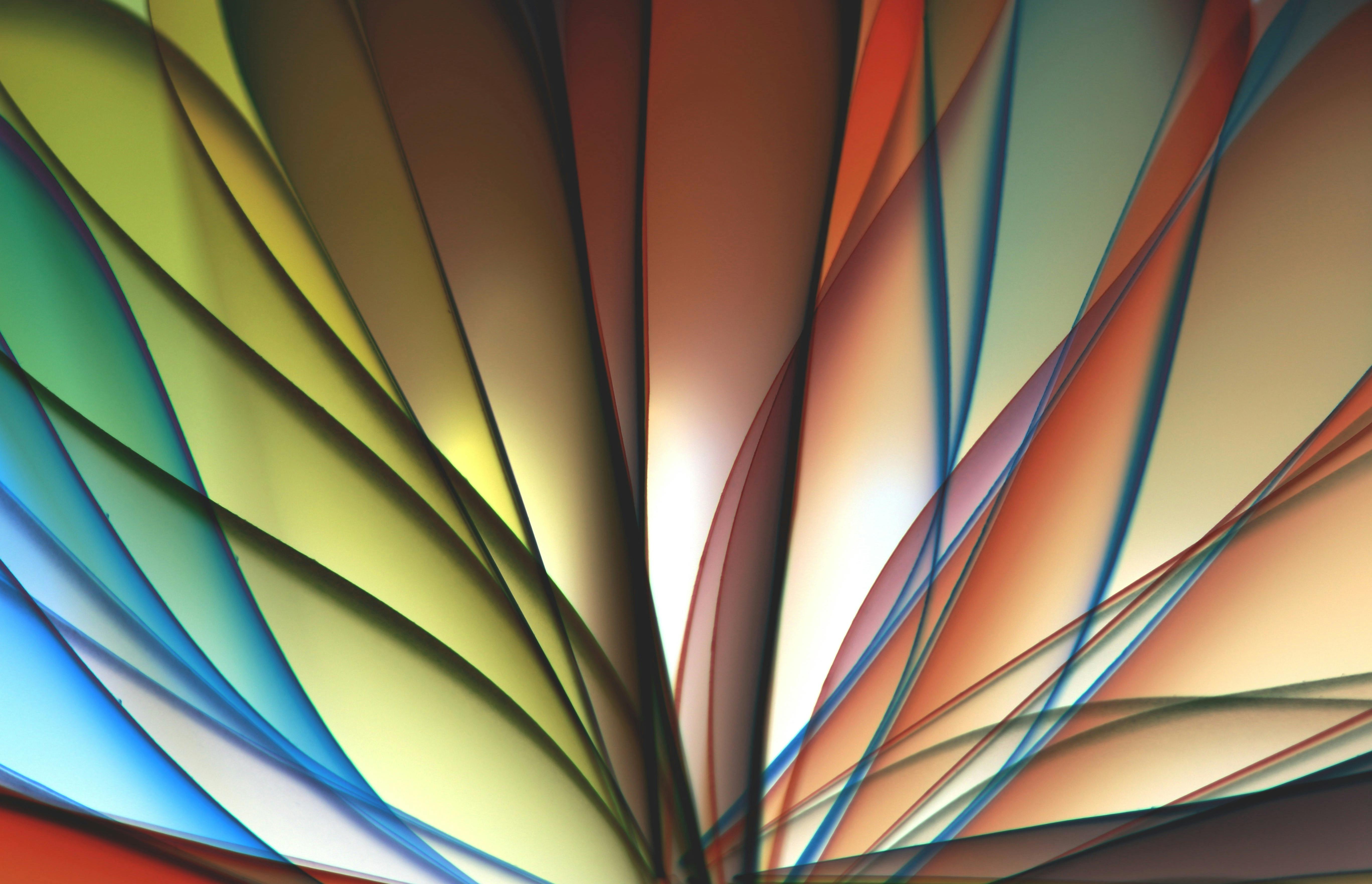 ฟรี คลังภาพถ่ายฟรี ของ guaratuba, กราฟิก, การออกแบบภาพ คลังภาพถ่าย