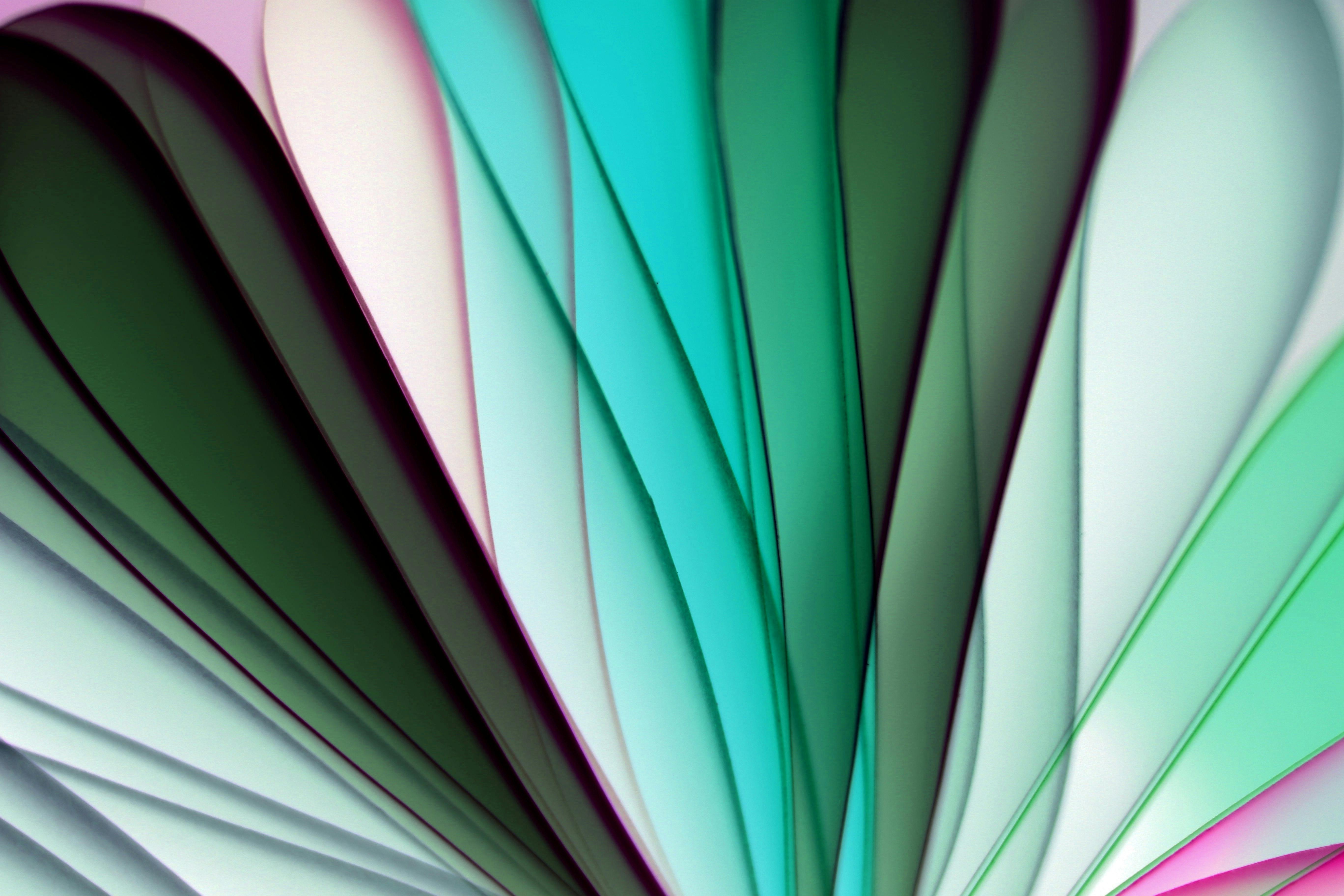 Tri-Color Background · Free Stock Photo