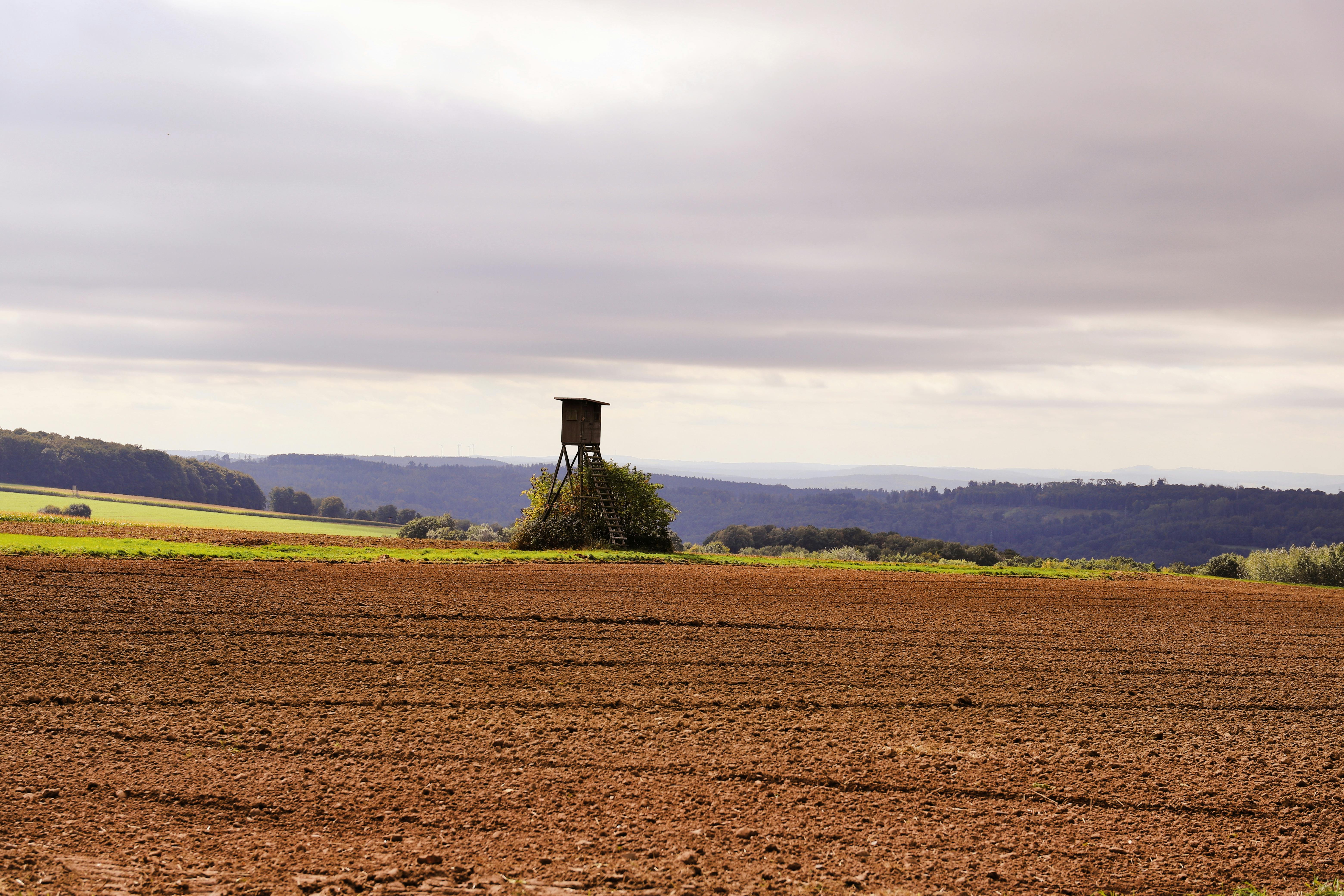 銘旺科技攜手彩光科技 導入AI無人機推動台灣農業升級