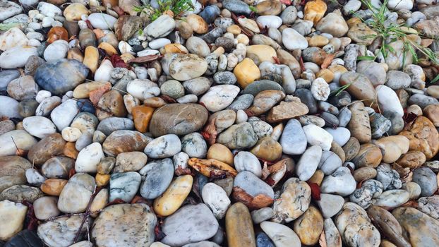 A vibrant assortment of pebbles and stones arranged in a garden setting.