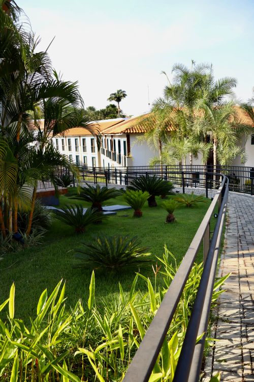 Free A beautiful courtyard with lush greenery, palm trees, and colonial architecture. Stock Photo