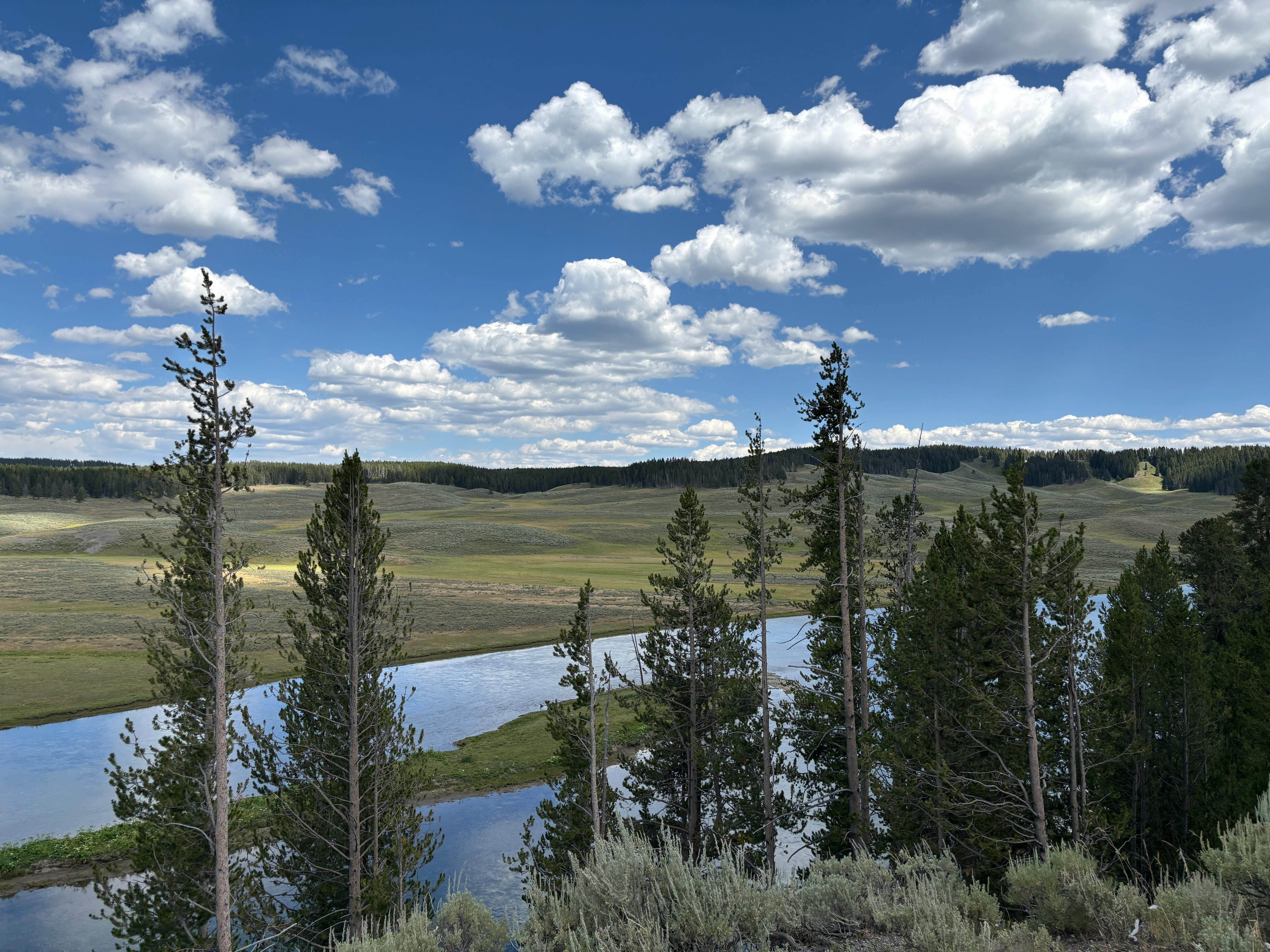 Photo of West Yellowstone