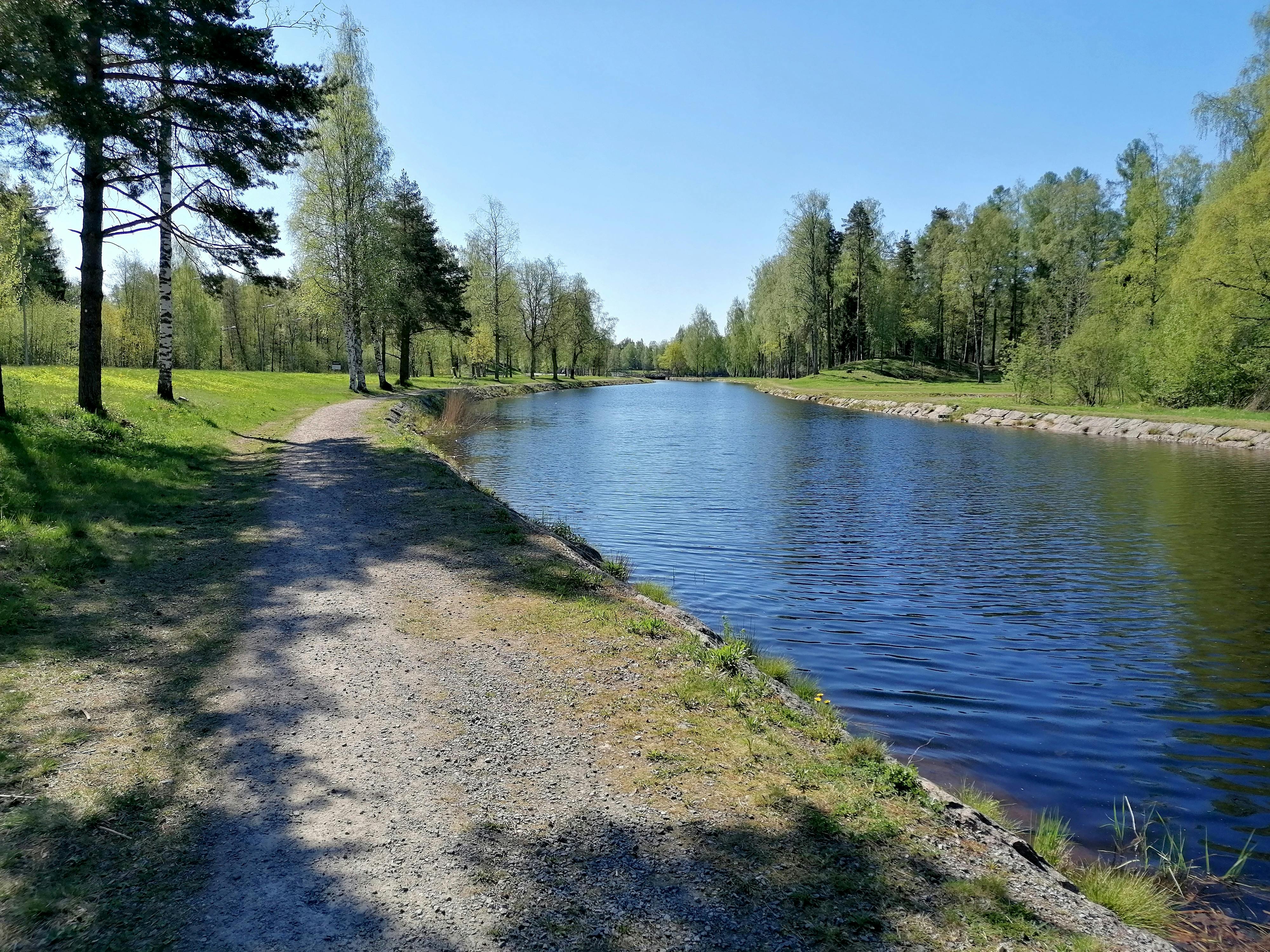 Tranquil riverside path surrounded by lush greenery in springtime, ideal for nature walks.