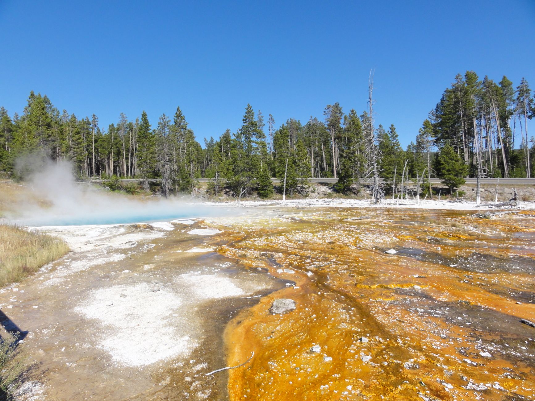 When to Go: The Ultimate Guide to the Best Time to Visit Yellowstone