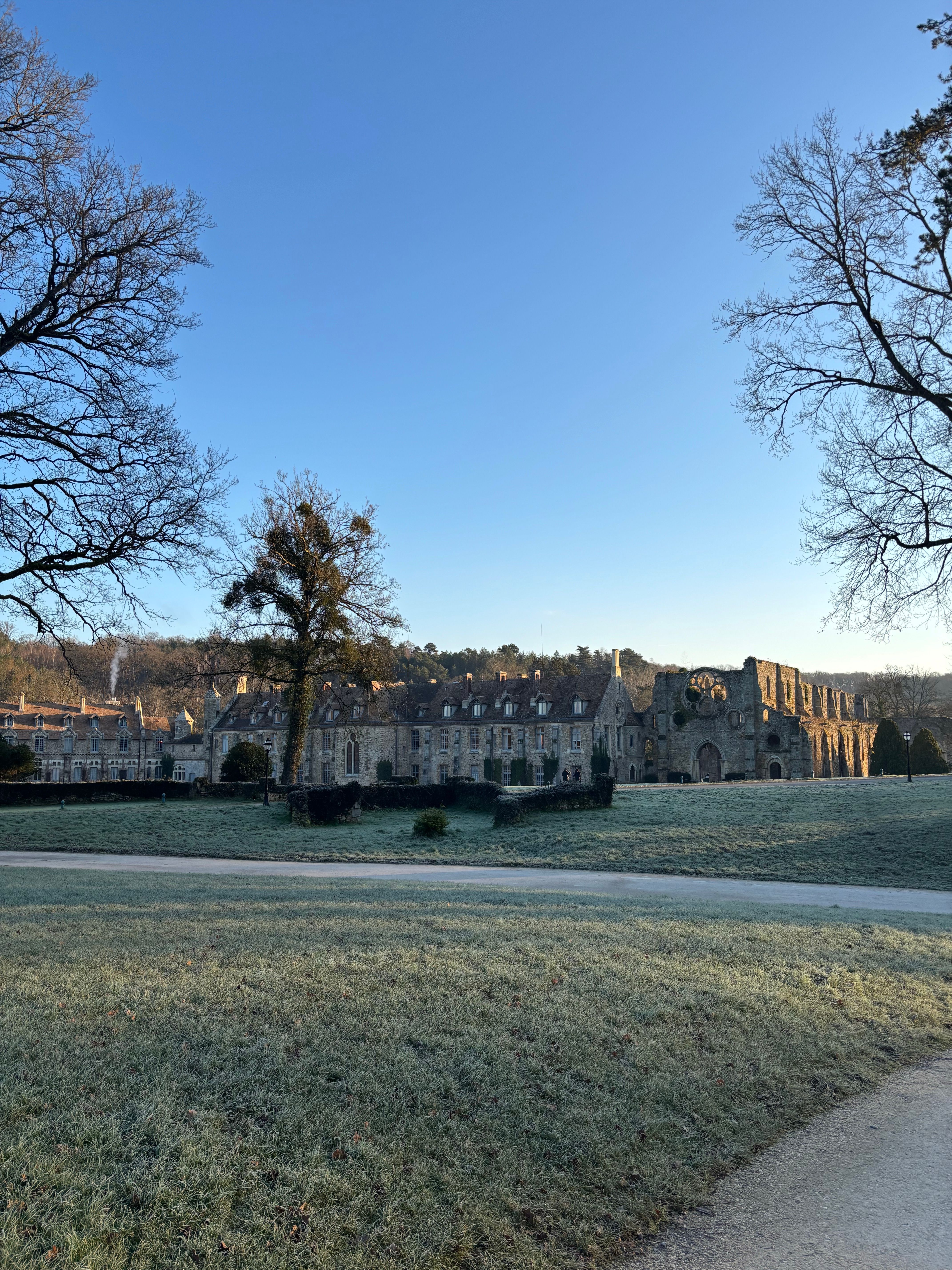 A serene view of ancient abbey ruins surrounded by a peaceful park in early morning light.