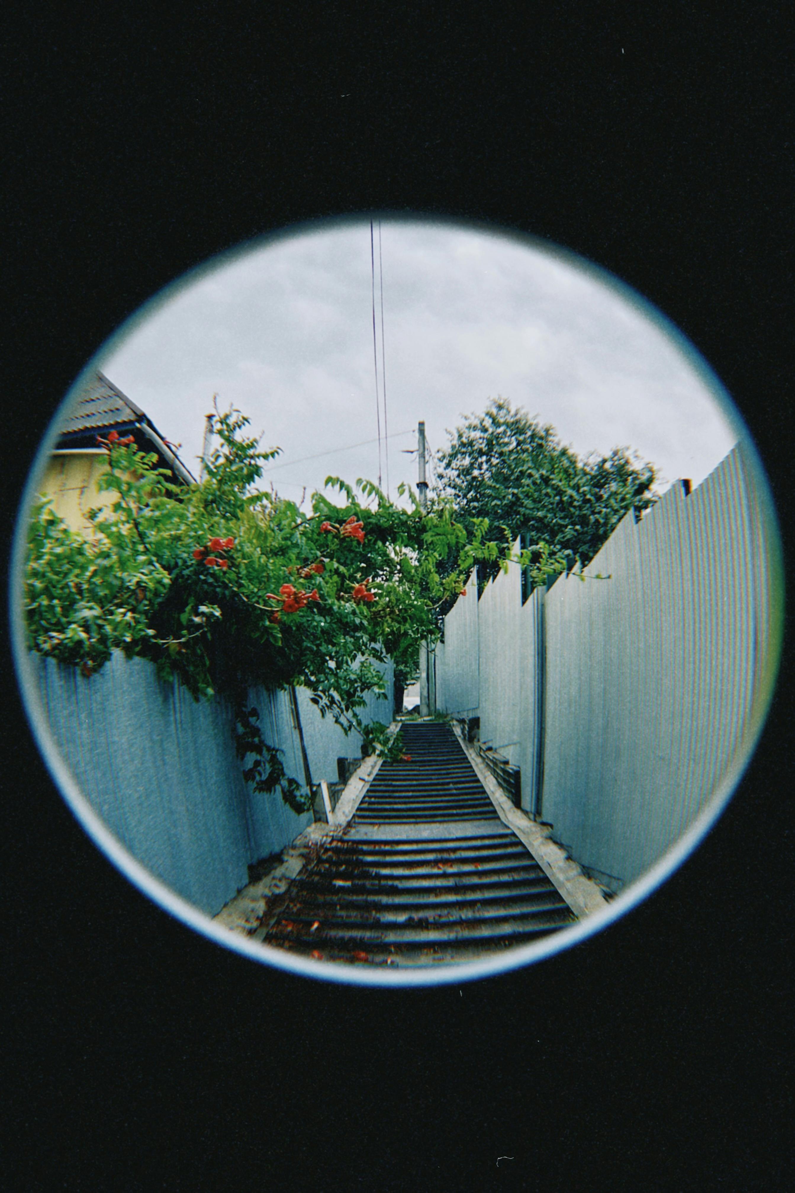 Unique alleyway view captured through a fisheye lens in Almaty, Kazakhstan.