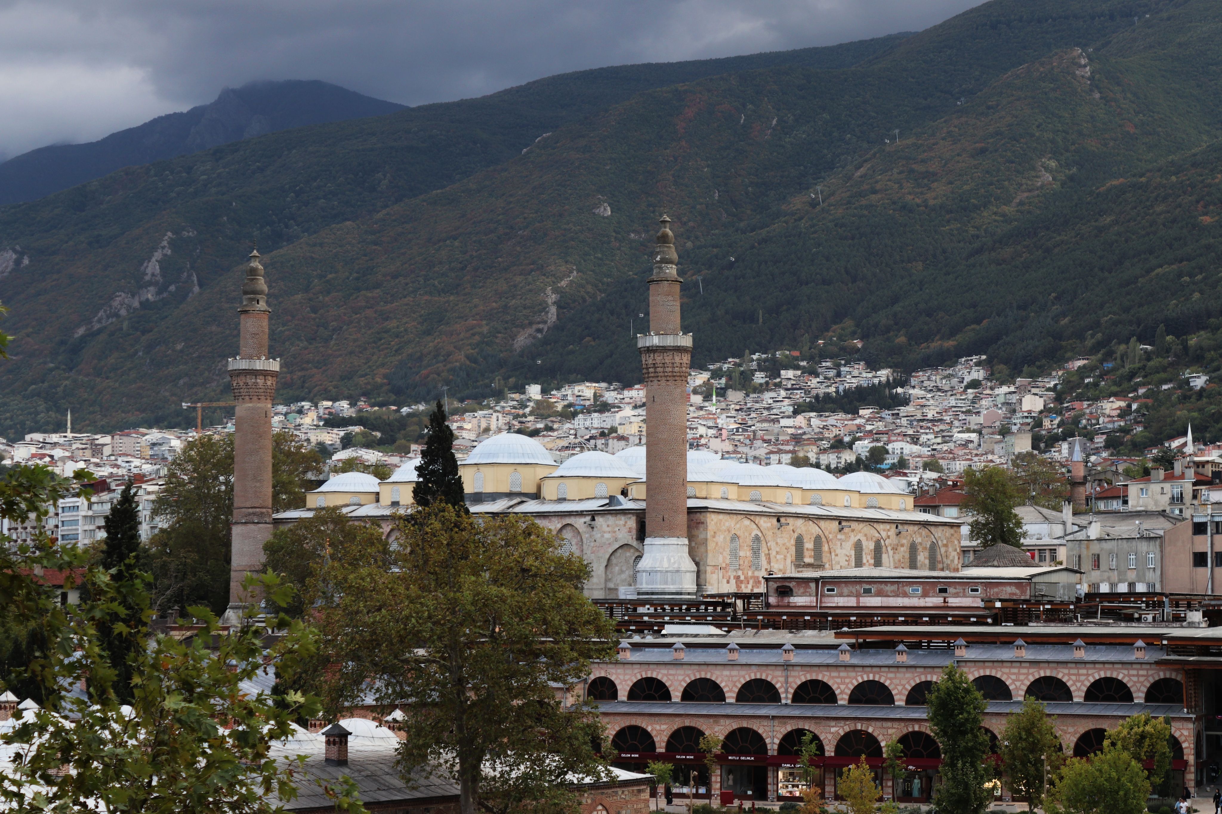 Bursa