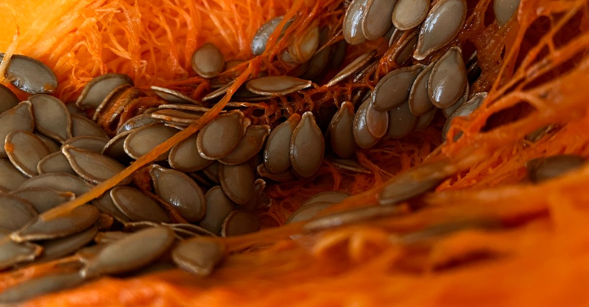Detailed macro shot of pumpkin seeds nestled within vibrant orange pumpkin flesh. - Evidence evidence guide for pumpkin seed sleep quality meta-analysis