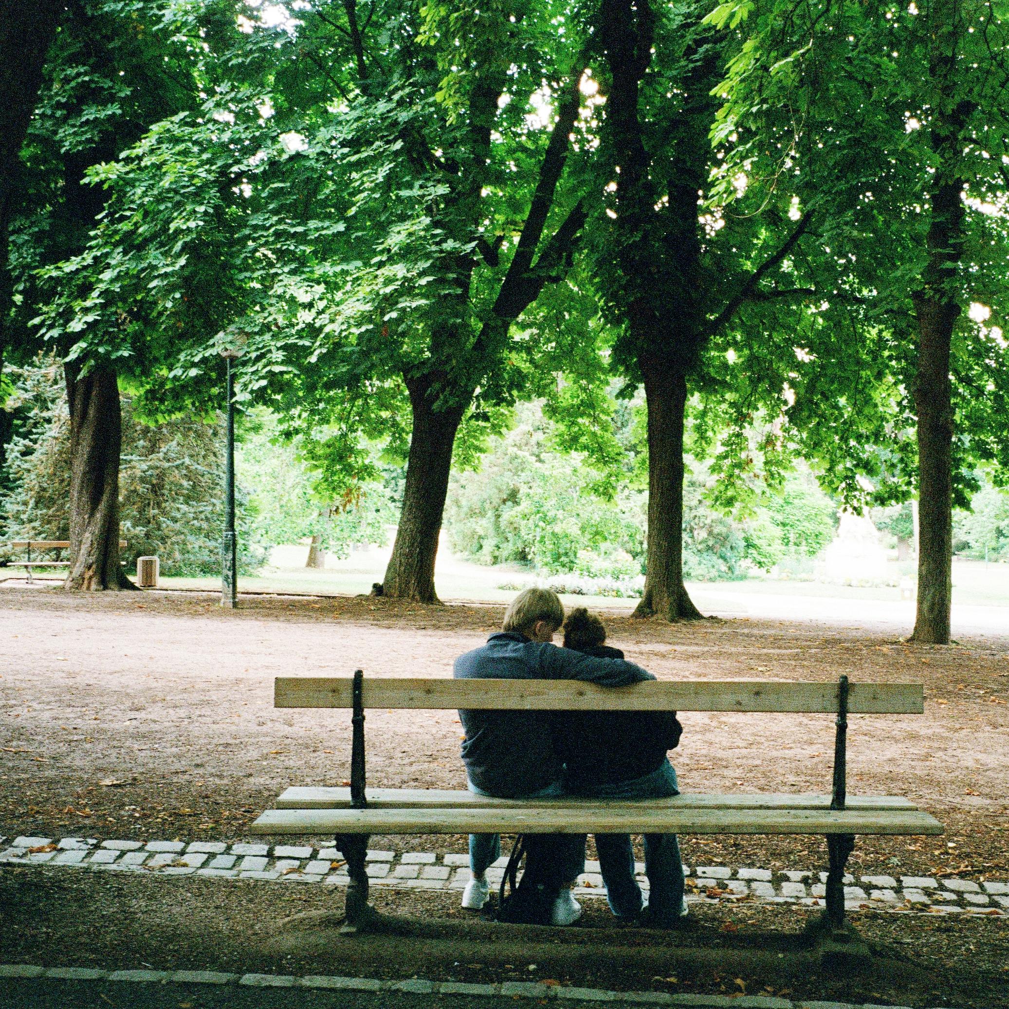 A couple embraces on a park bench surrounded by lush trees in a serene French garden.