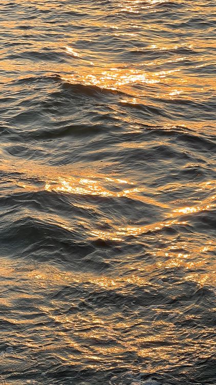 Golden Sunlight Reflecting on Ocean Waves · Free Stock Photo