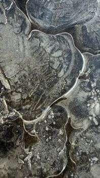 Close-up view of intricate ice patterns showcasing natural abstract art.