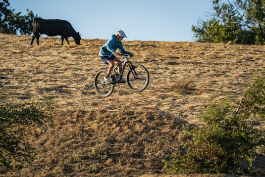 Mountain biker rides down a dry hill with a grazing cow nearby.