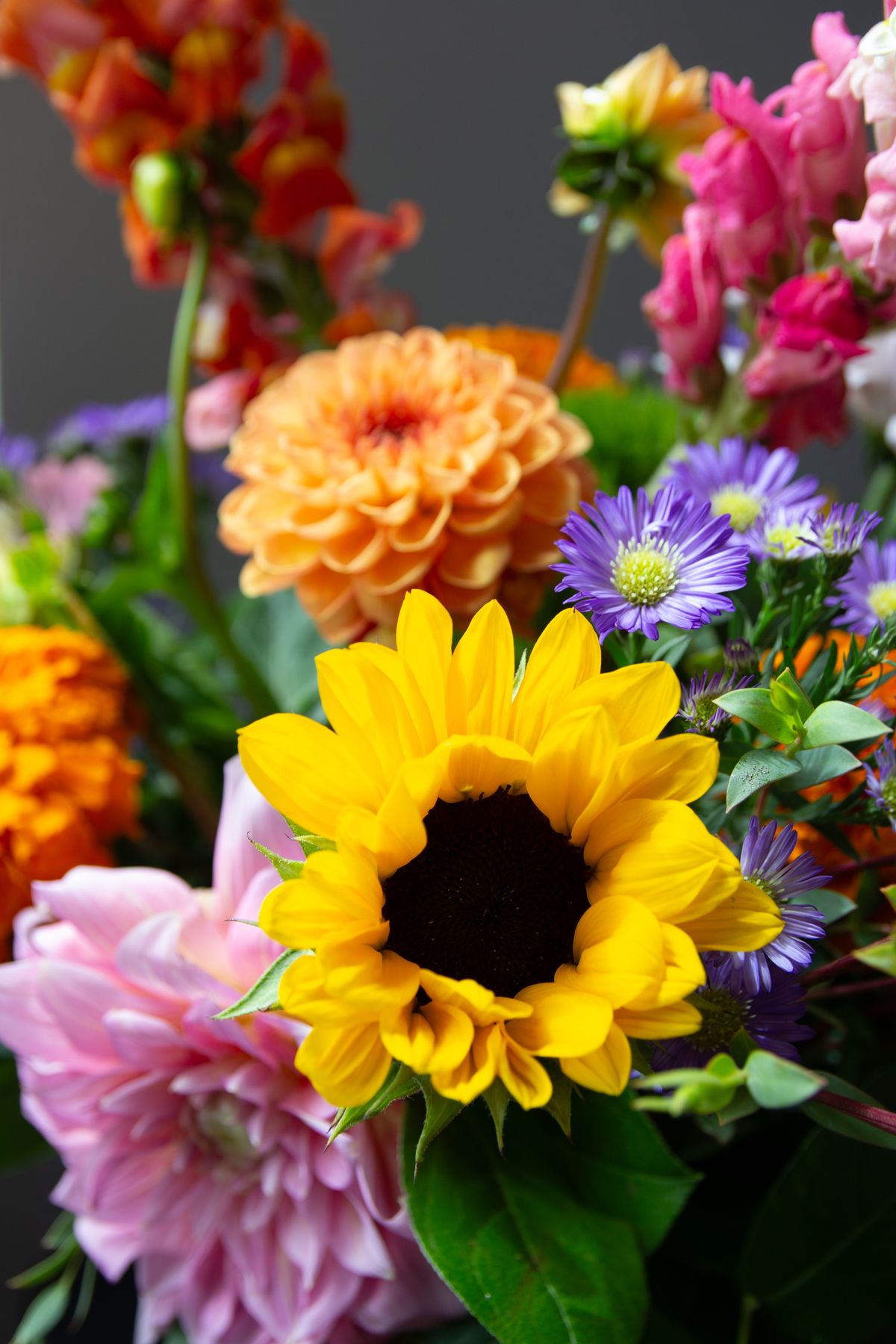 Vibrant delivered arrangement of sunflowers, dahlias, and wildflowers
