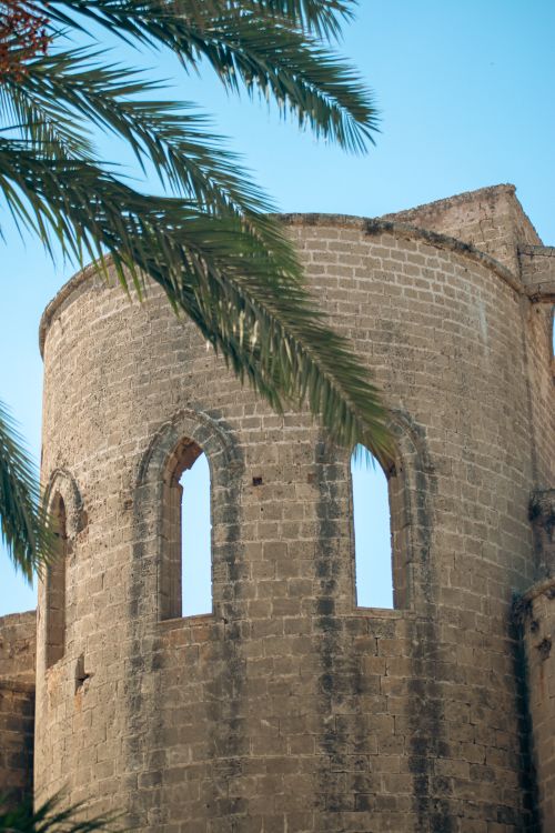 Free Historic stone tower framed by palm fronds under a clear blue sky. Stock Photo