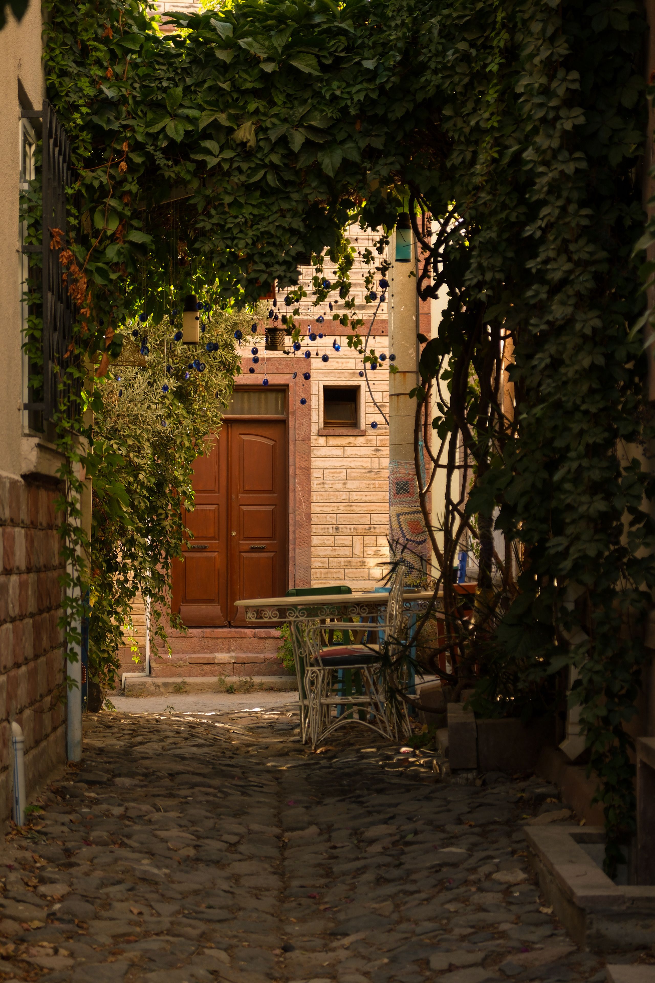Charming Cobblestone Alley with Wooden Door · Free Stock Photo