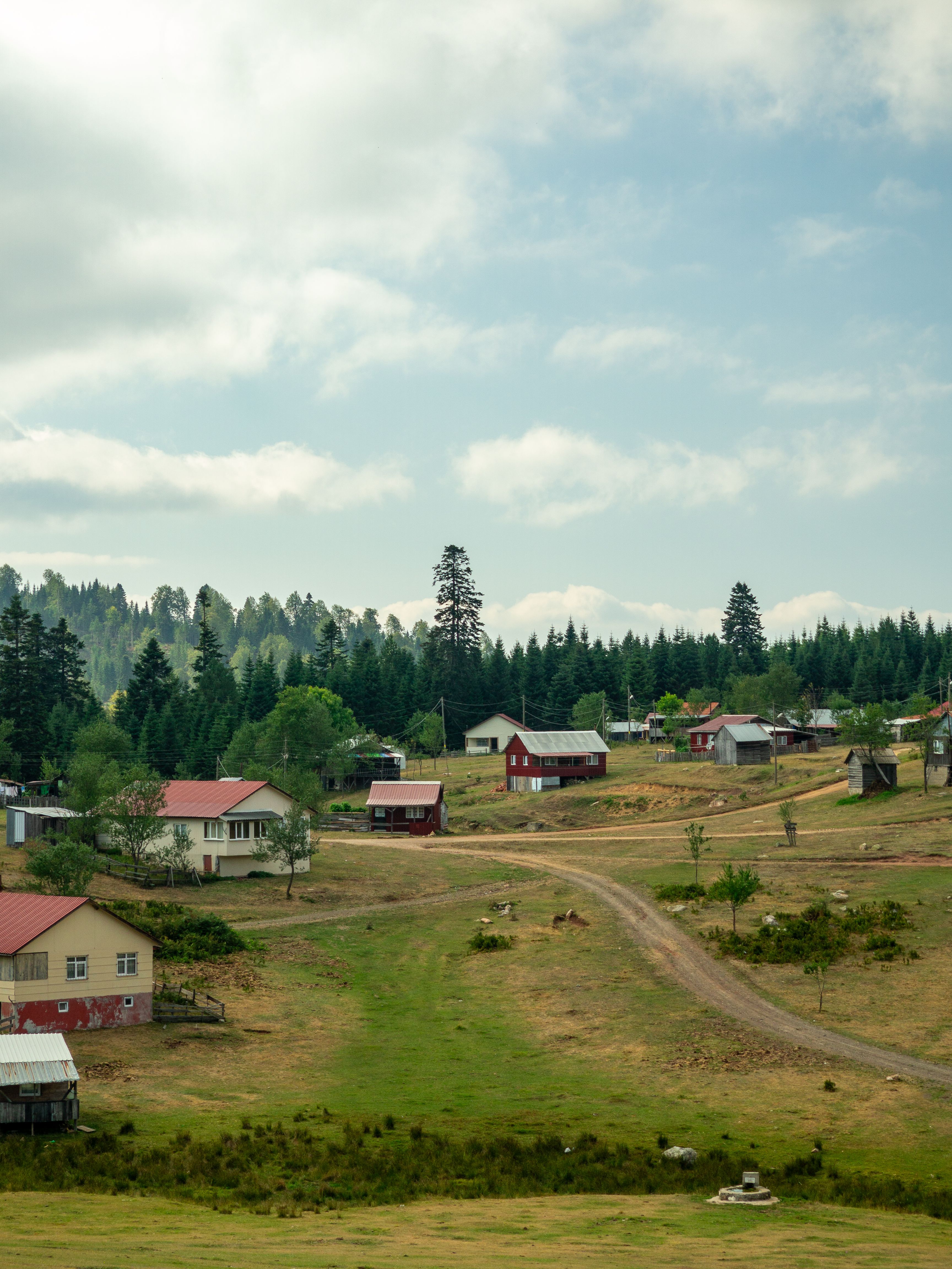 Idyllic Rural Landscape with Houses and Trees · Free Stock Photo