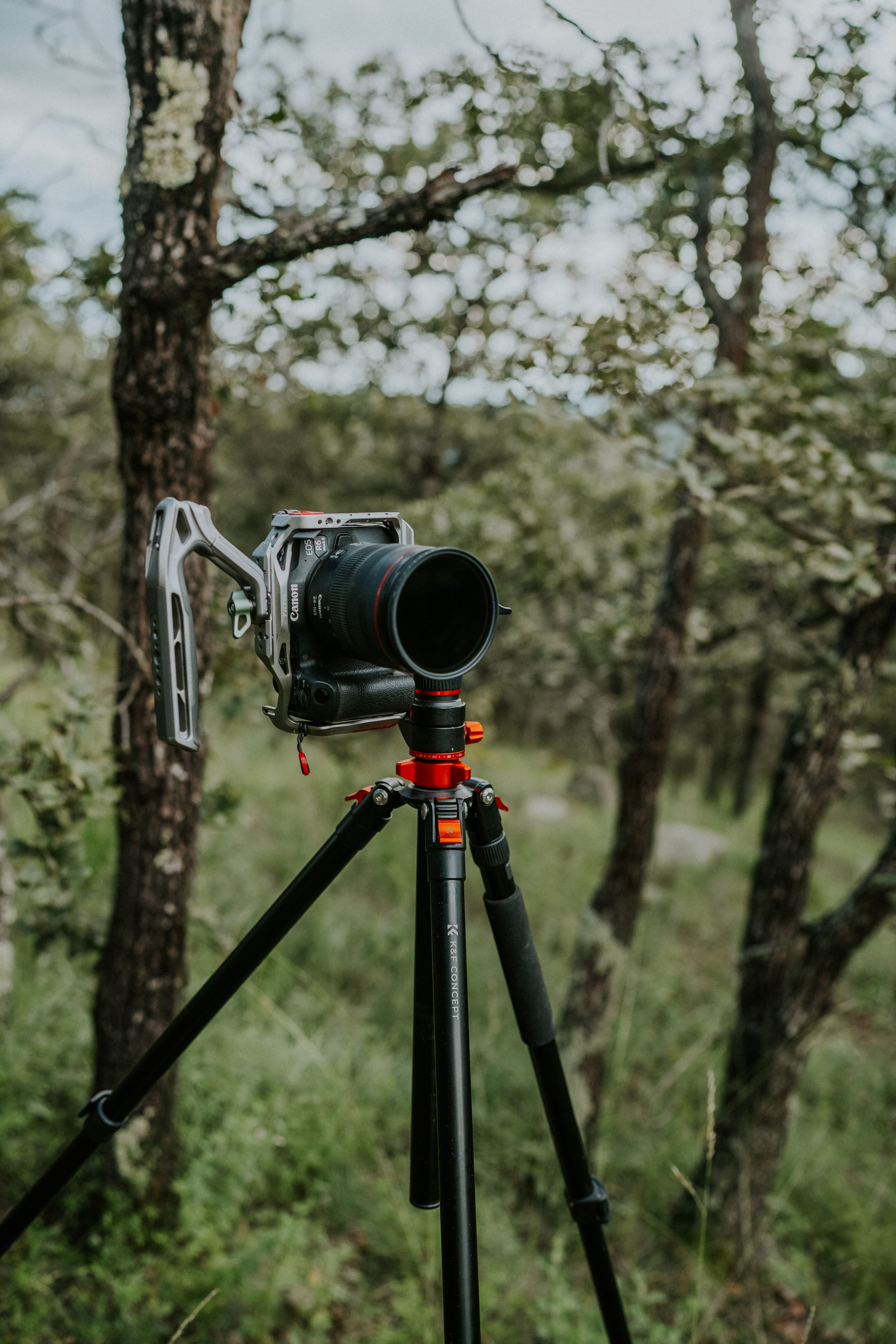 Hands-Free Photography Carry Systems Compared (2026) — how to set up and use a hands-free carry system safely