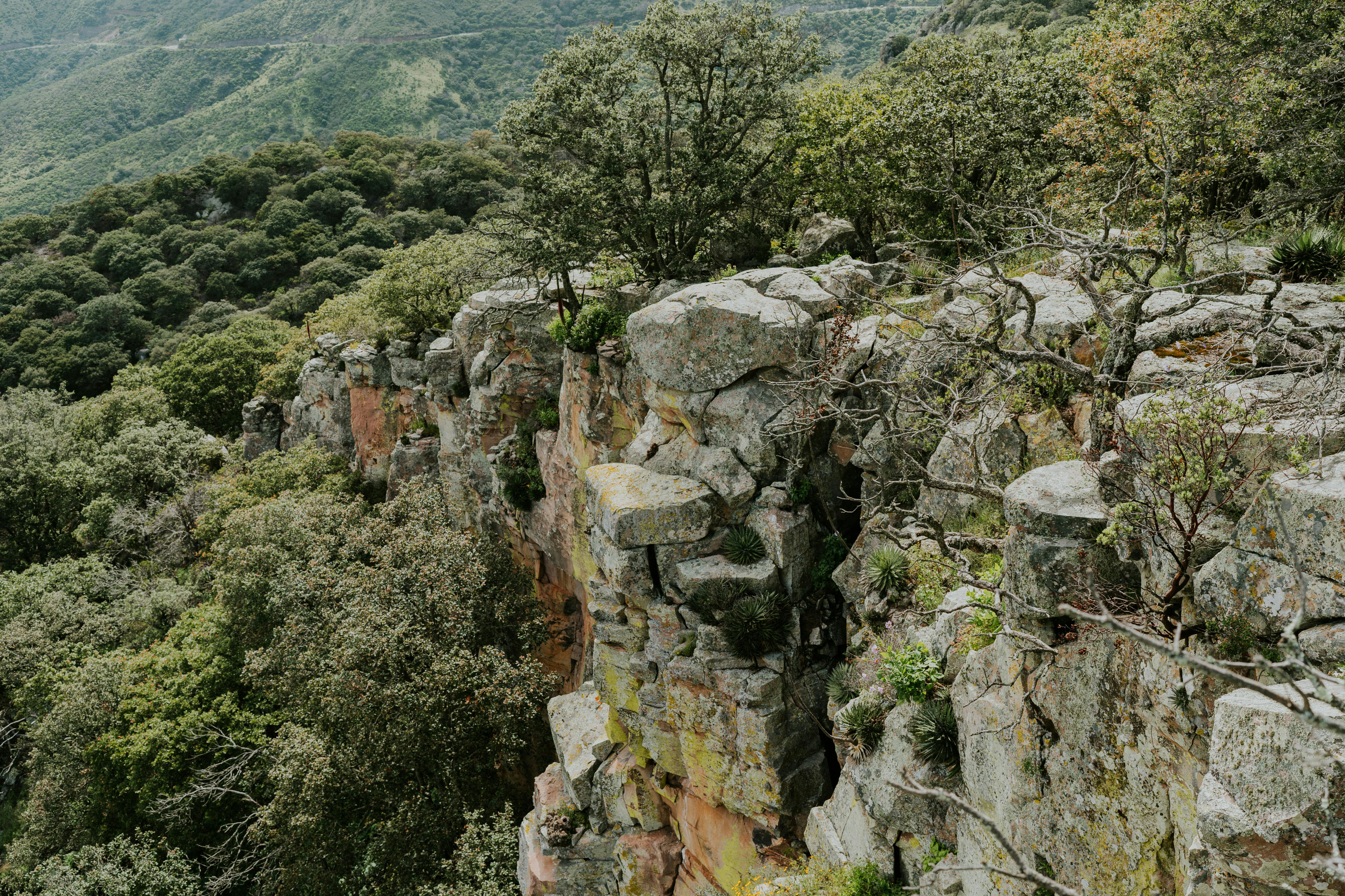 A breathtaking view of a rugged mountain cliff surrounded by dense green forest, perfect for nature lovers and adventurers.